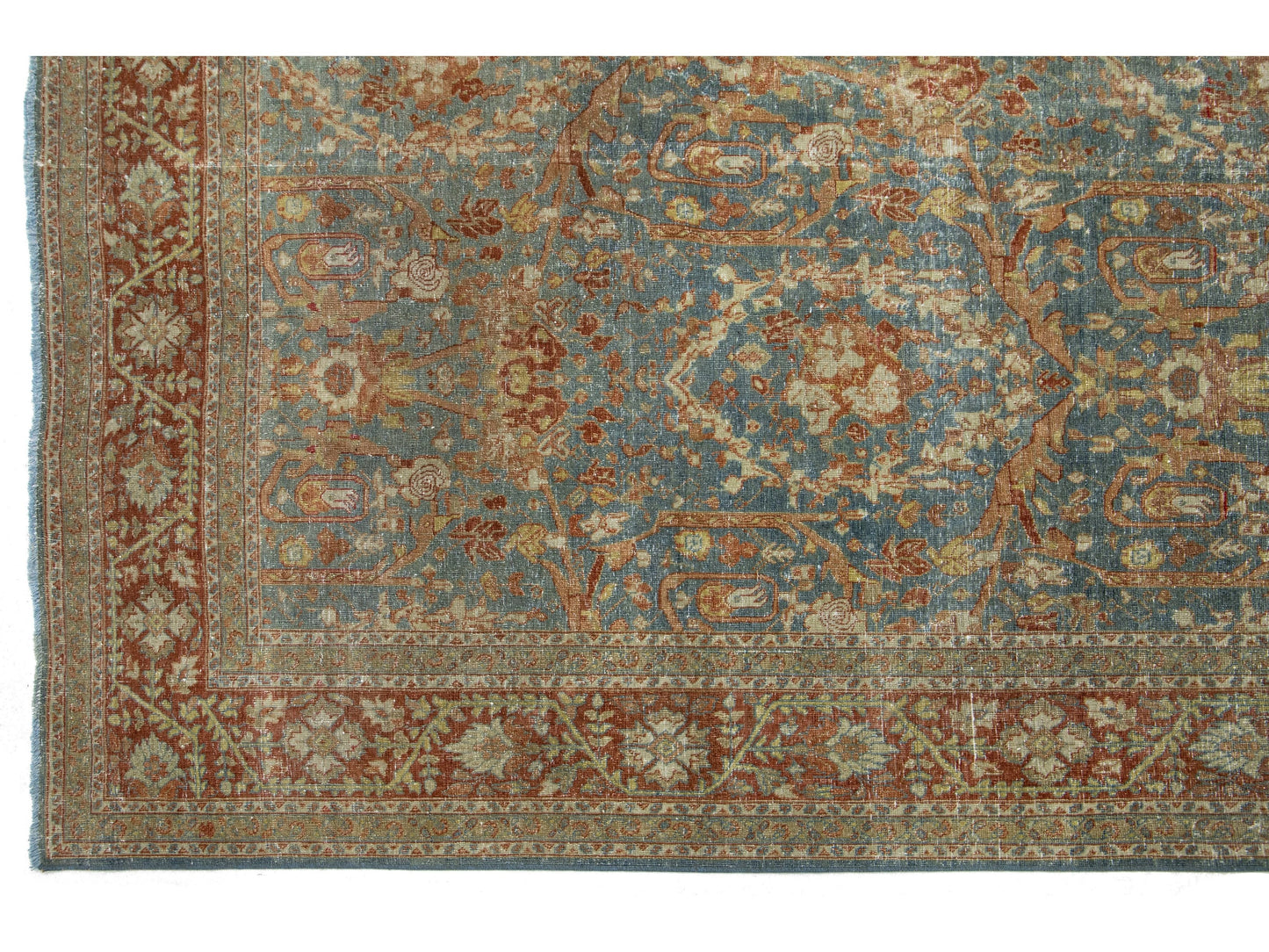 Tabriz 10244686