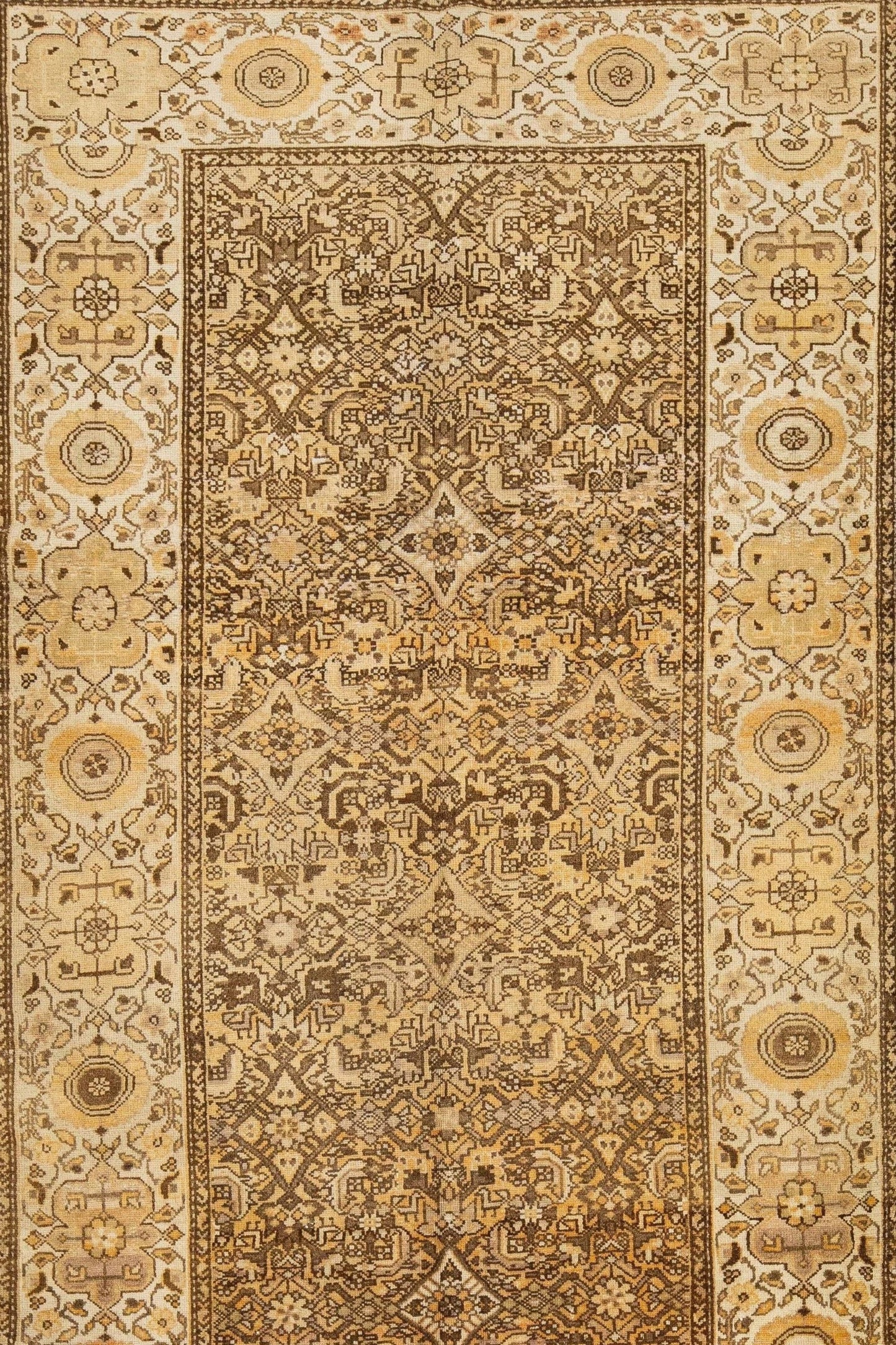 Malayer 10223007