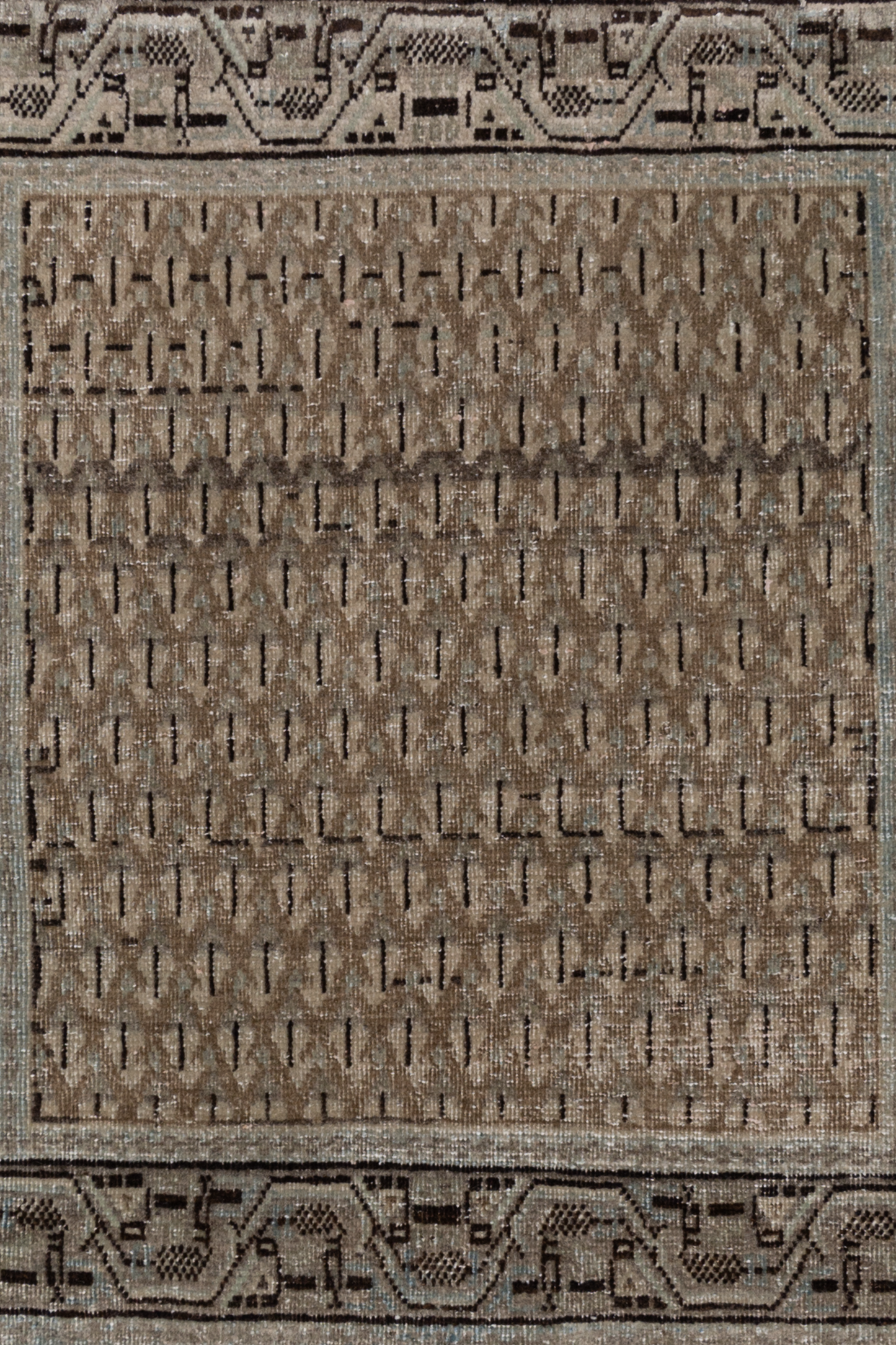 Persian Farahan Y2551