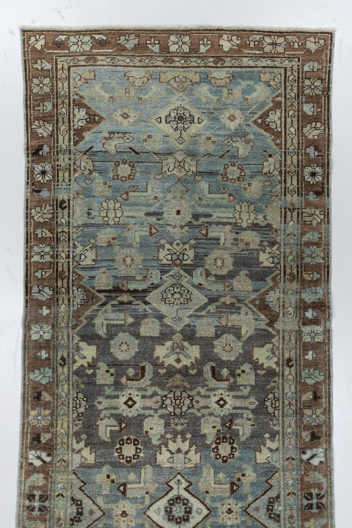 Persian Malayer R2569
