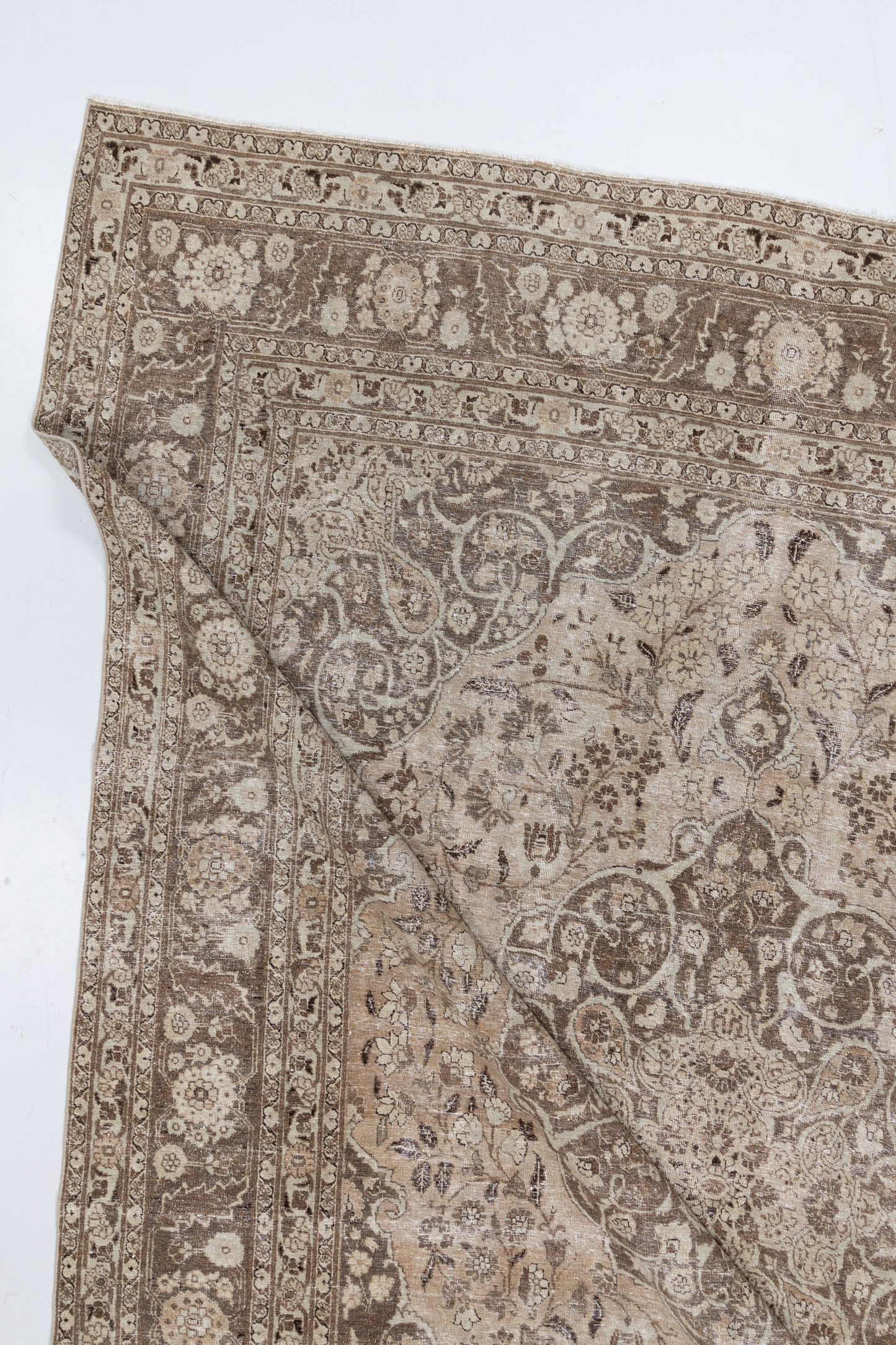 Tabriz L2586