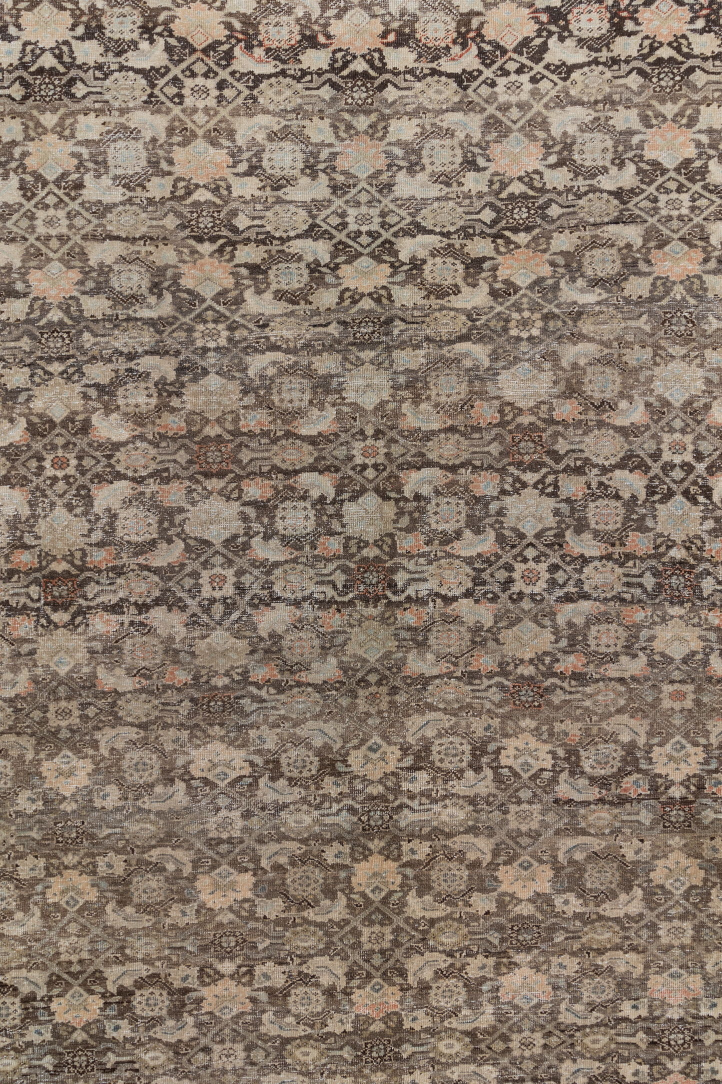 Persian Malayer L2590