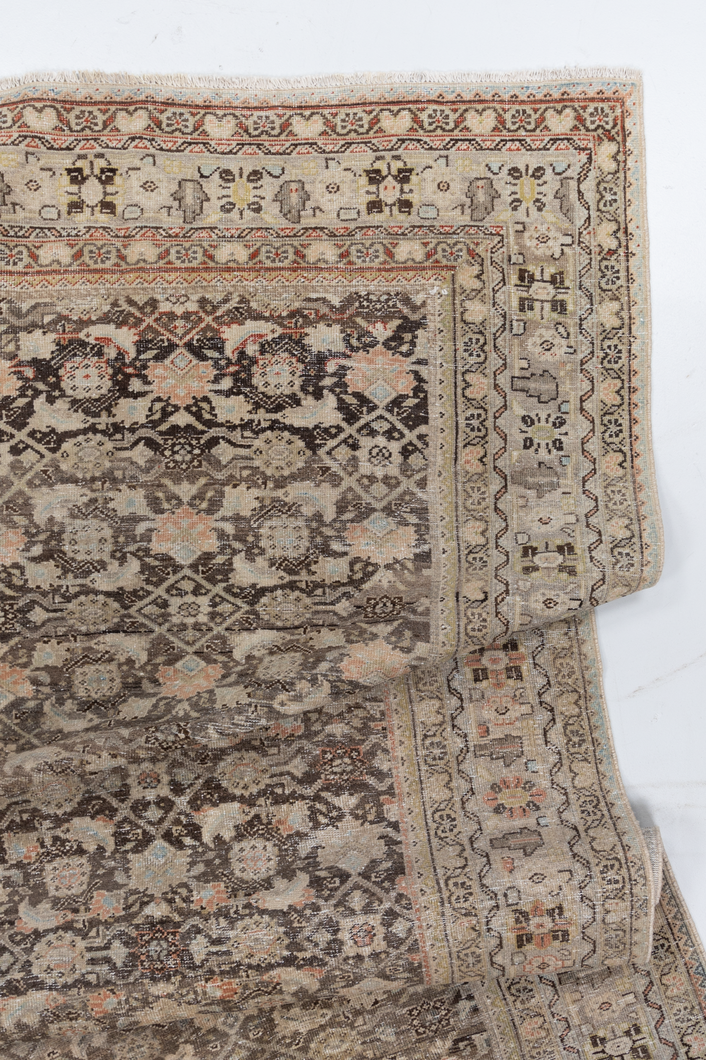 Persian Malayer L2590