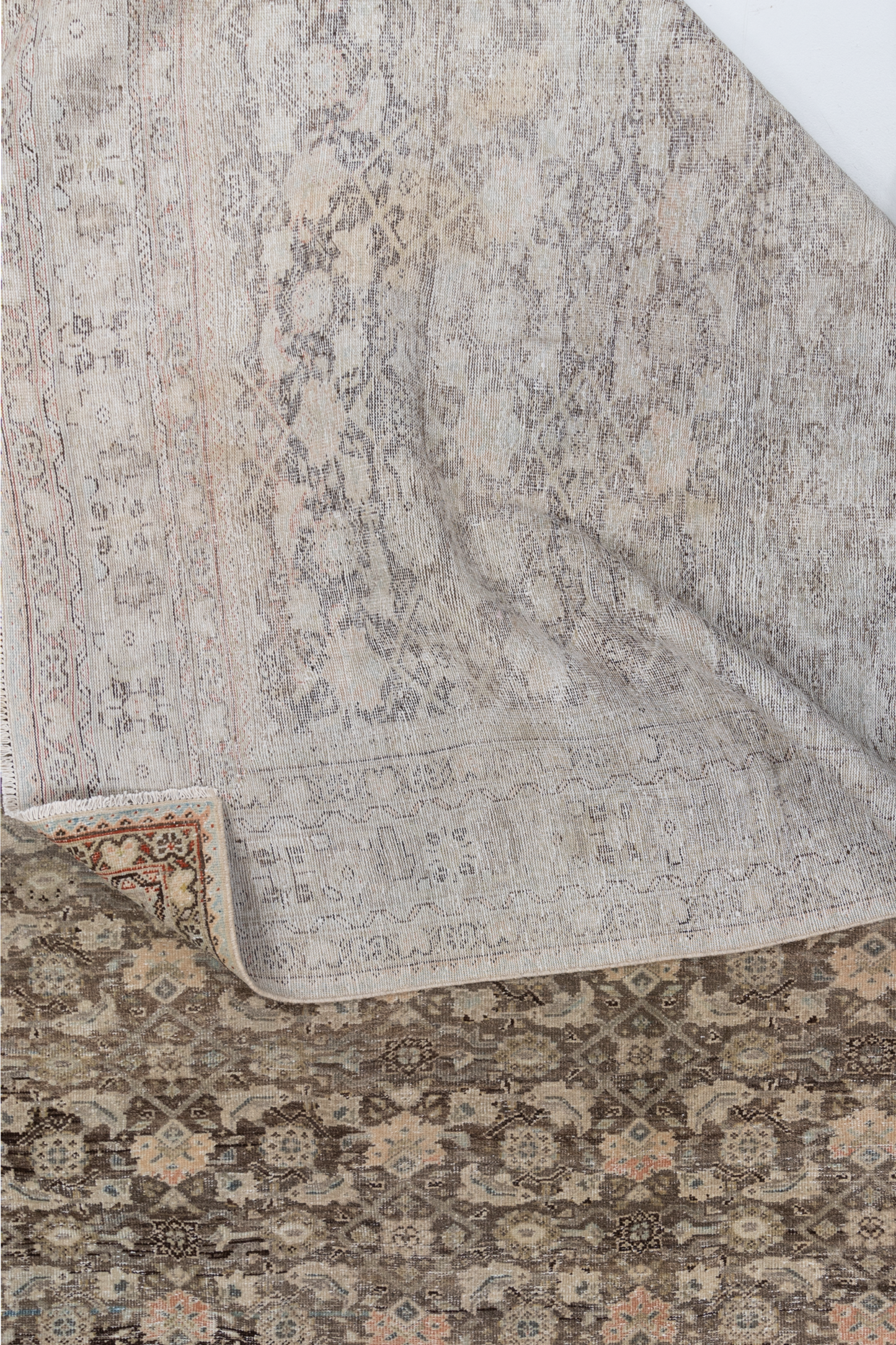 Persian Malayer L2590