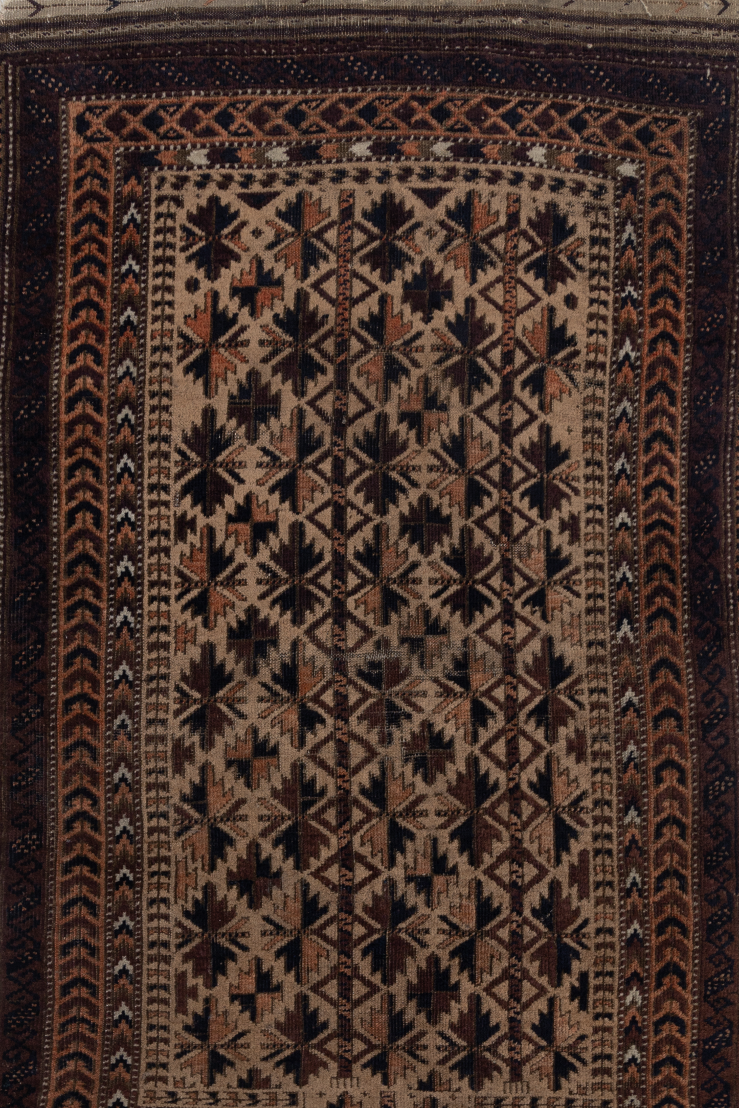 Turkmen Balouch Tribal  S2626