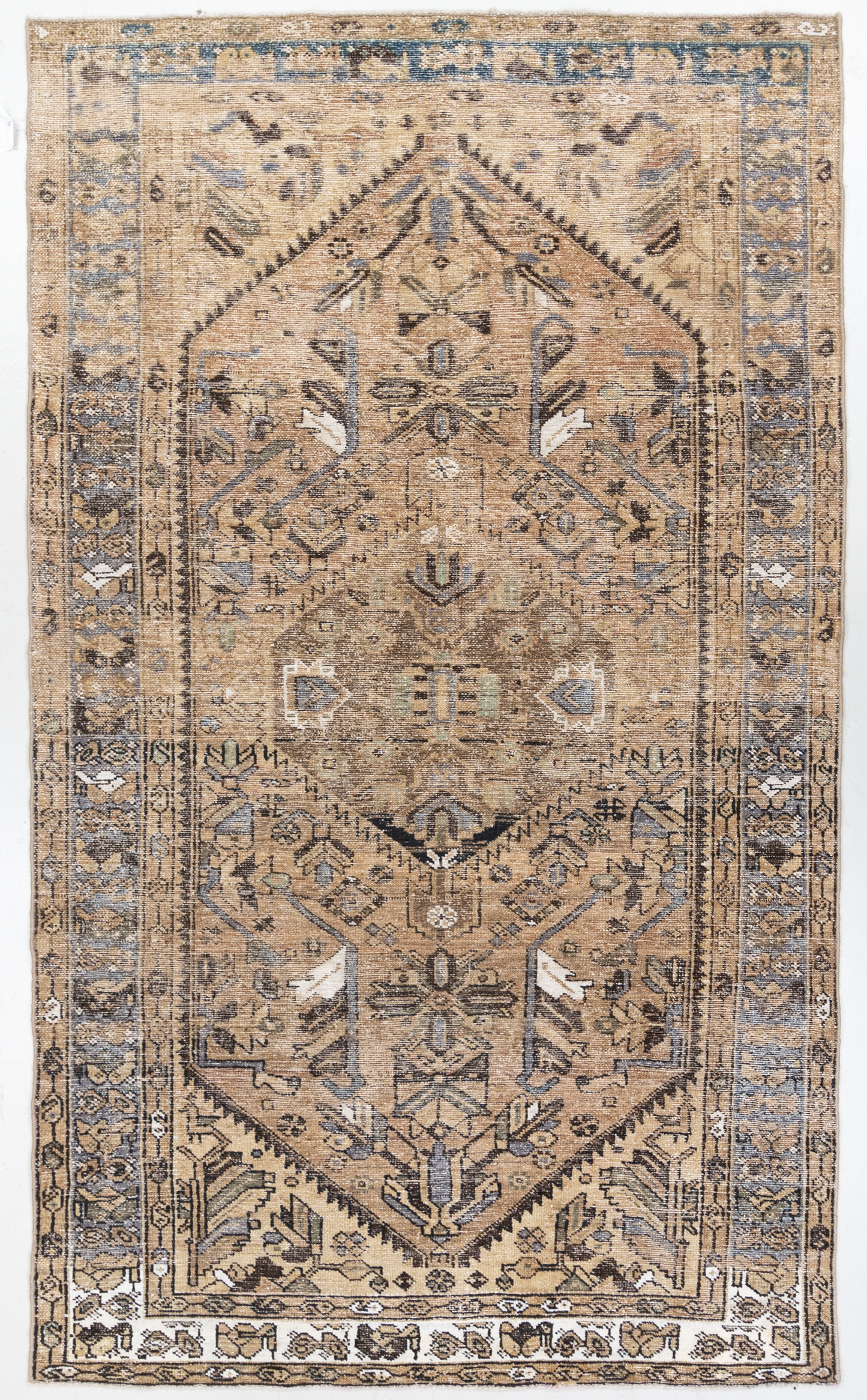 Persian 10239436