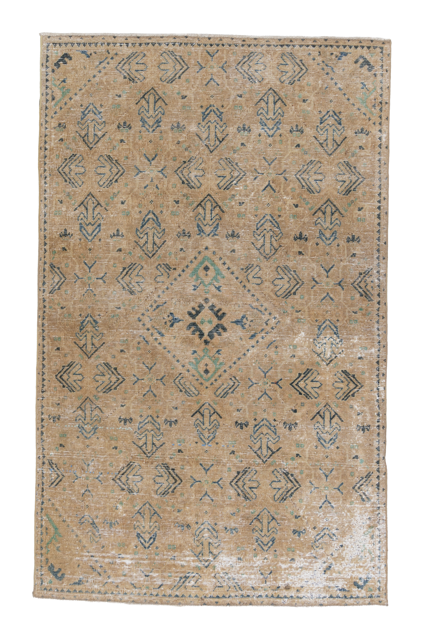 Anatolian 10237885