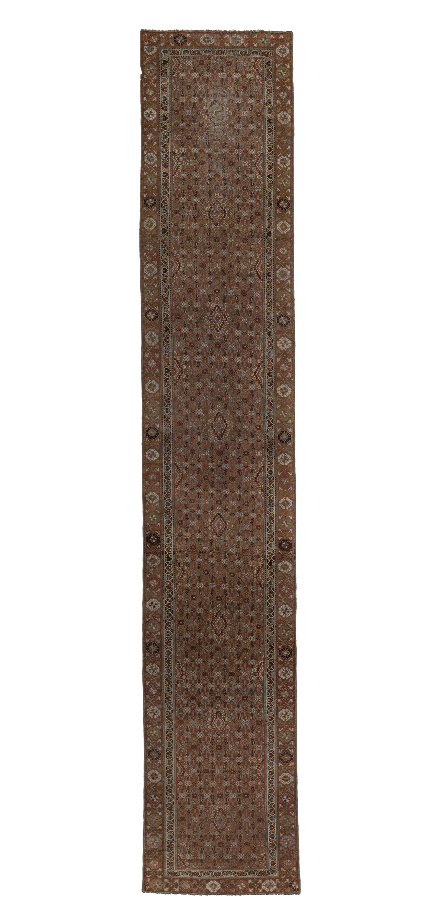 Persian R-1002