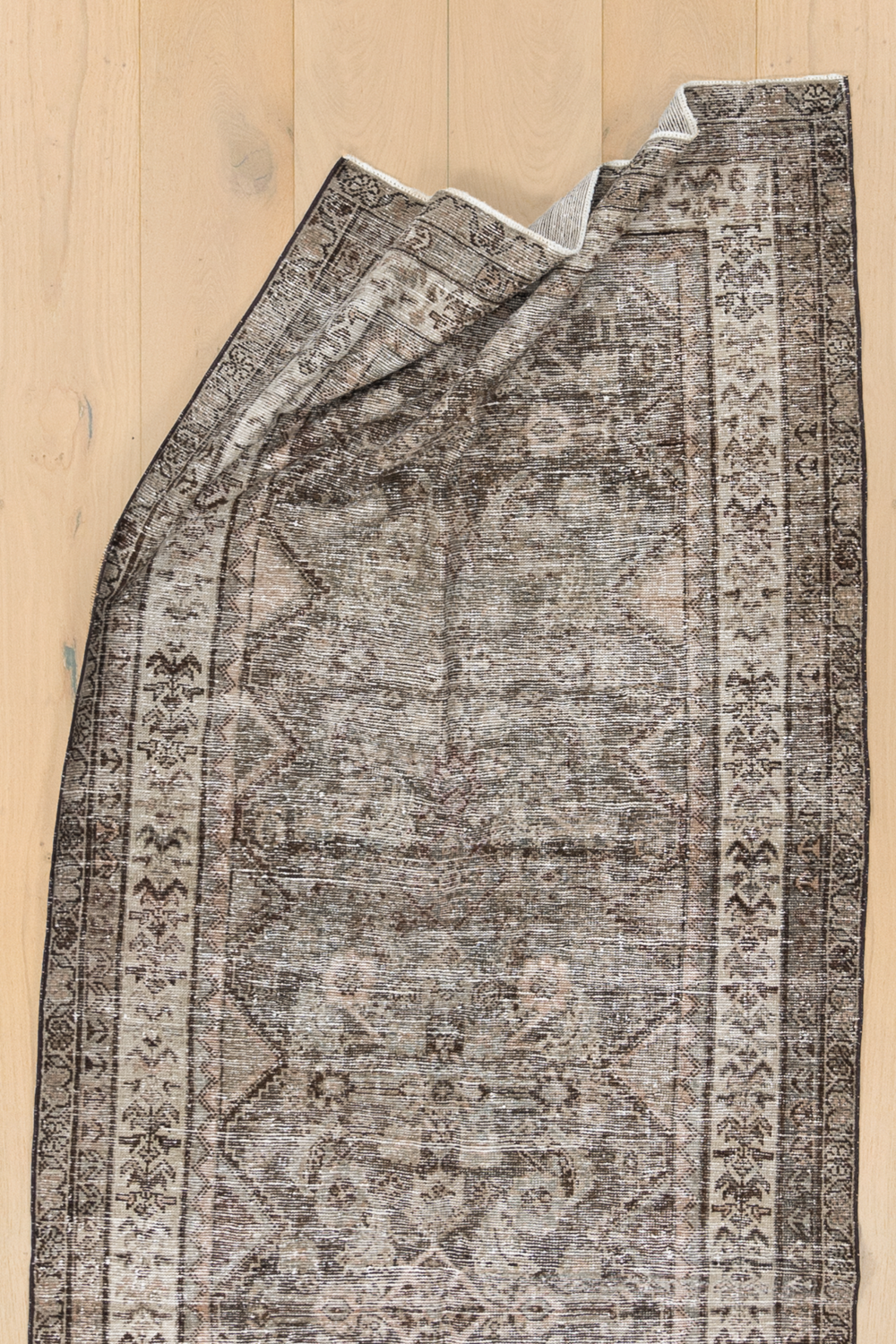 Persian Malayer R2112