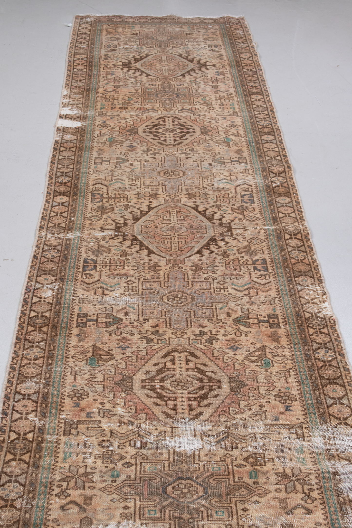 Persian 10238628