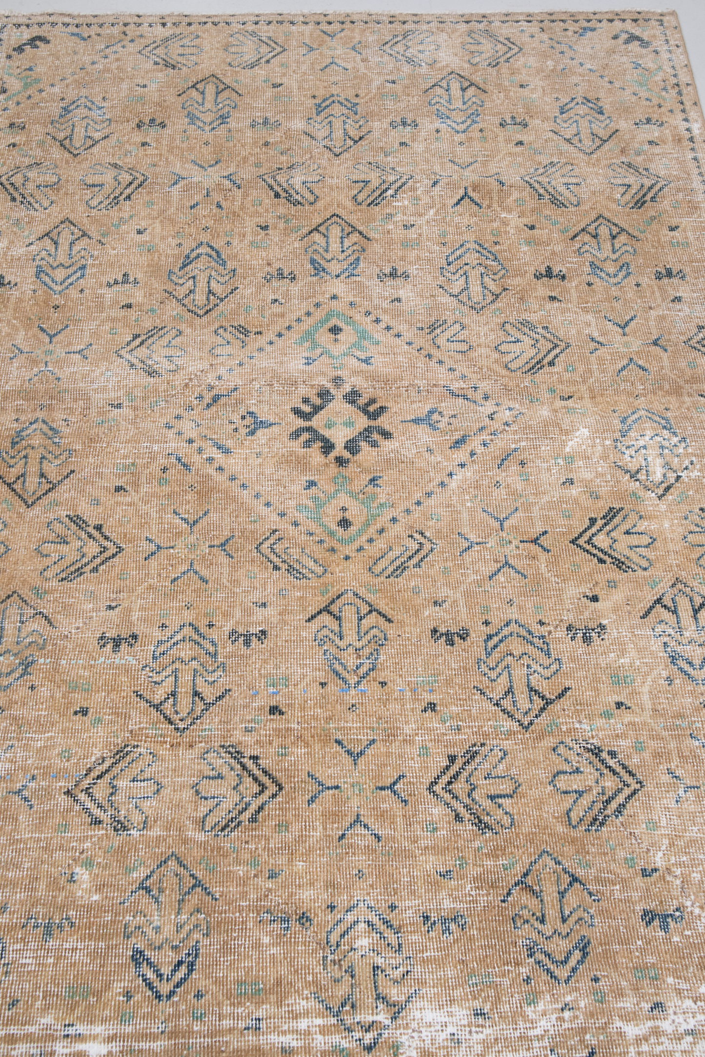 Anatolian 10237885