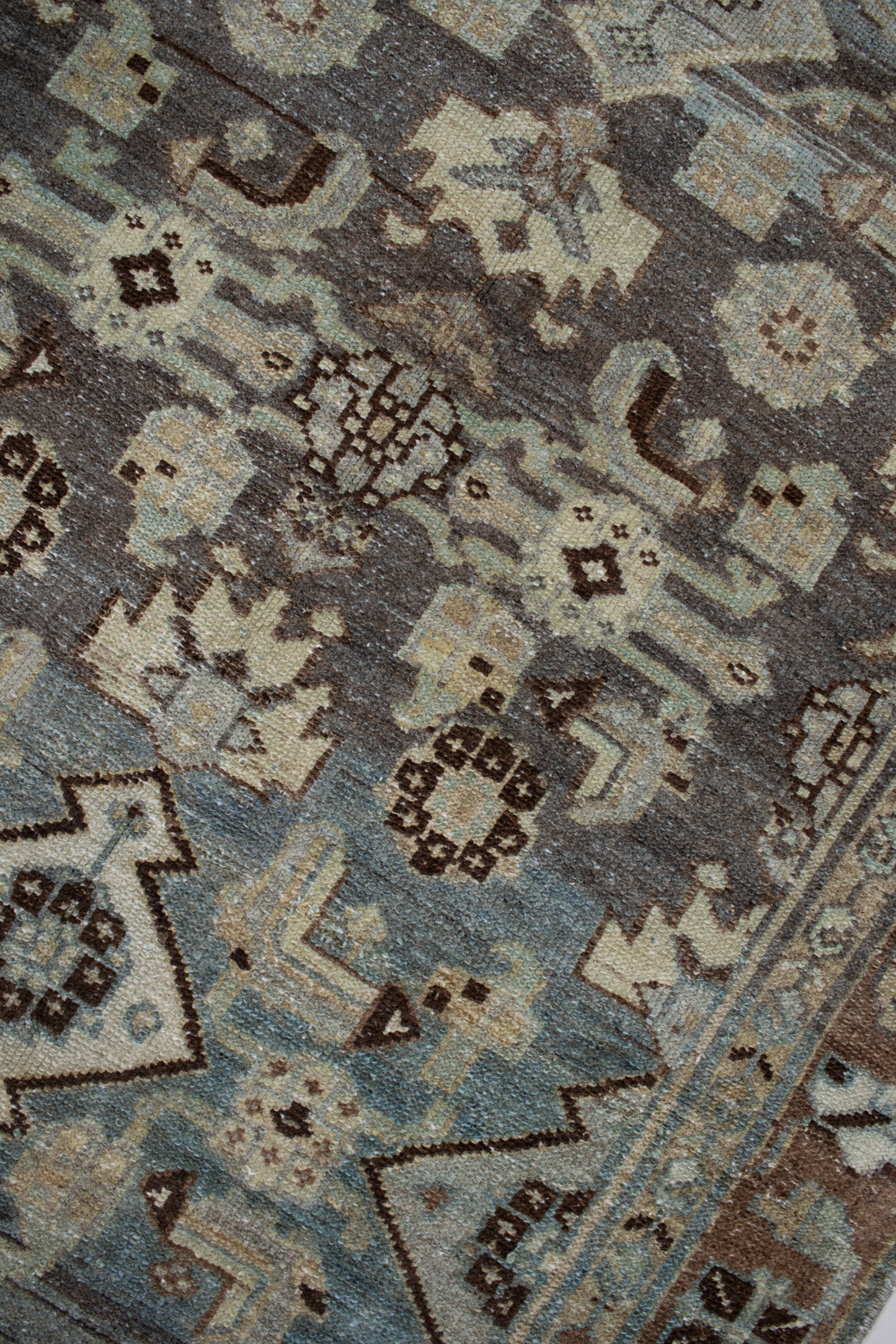 Persian Malayer R2569