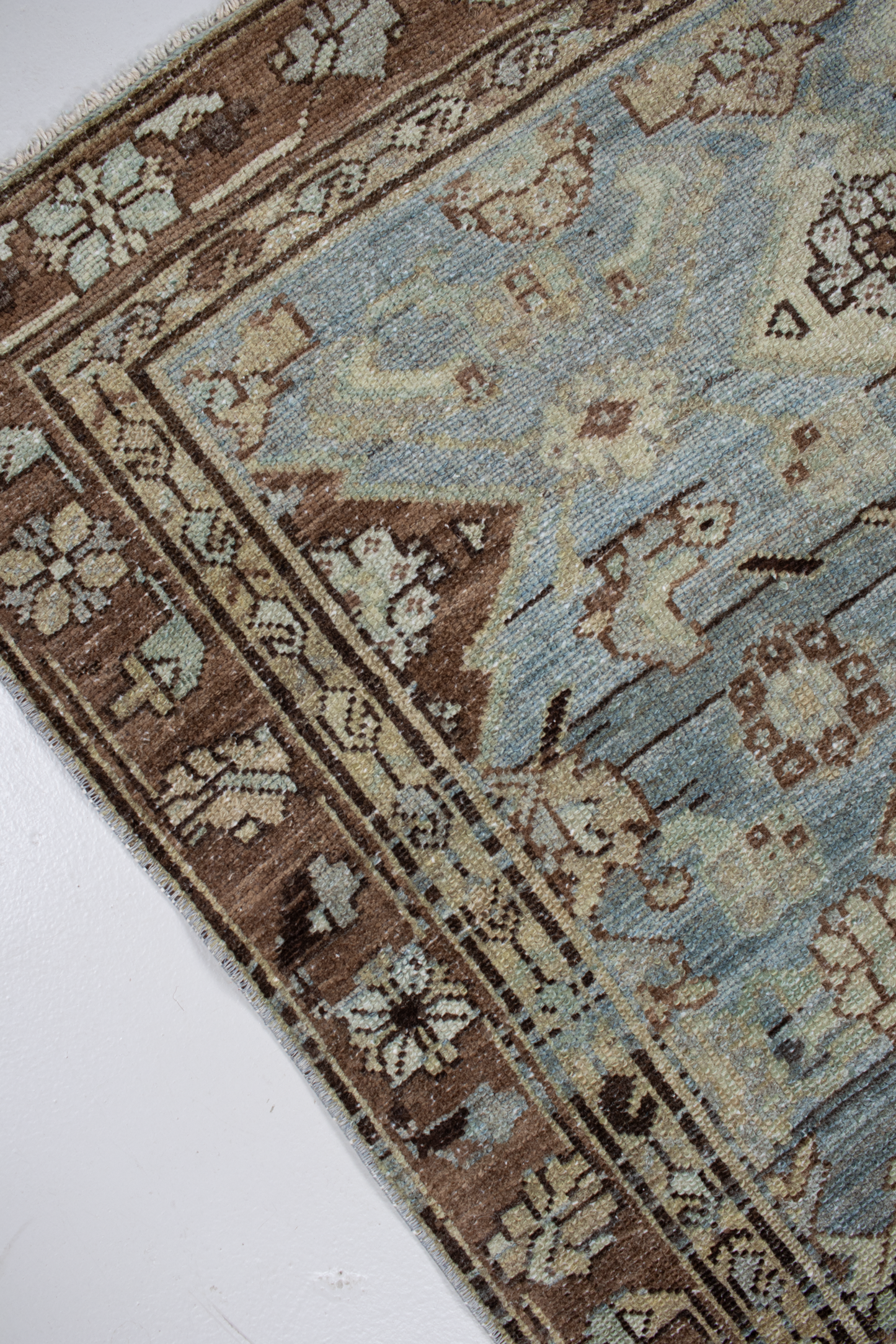 Persian Malayer R2569
