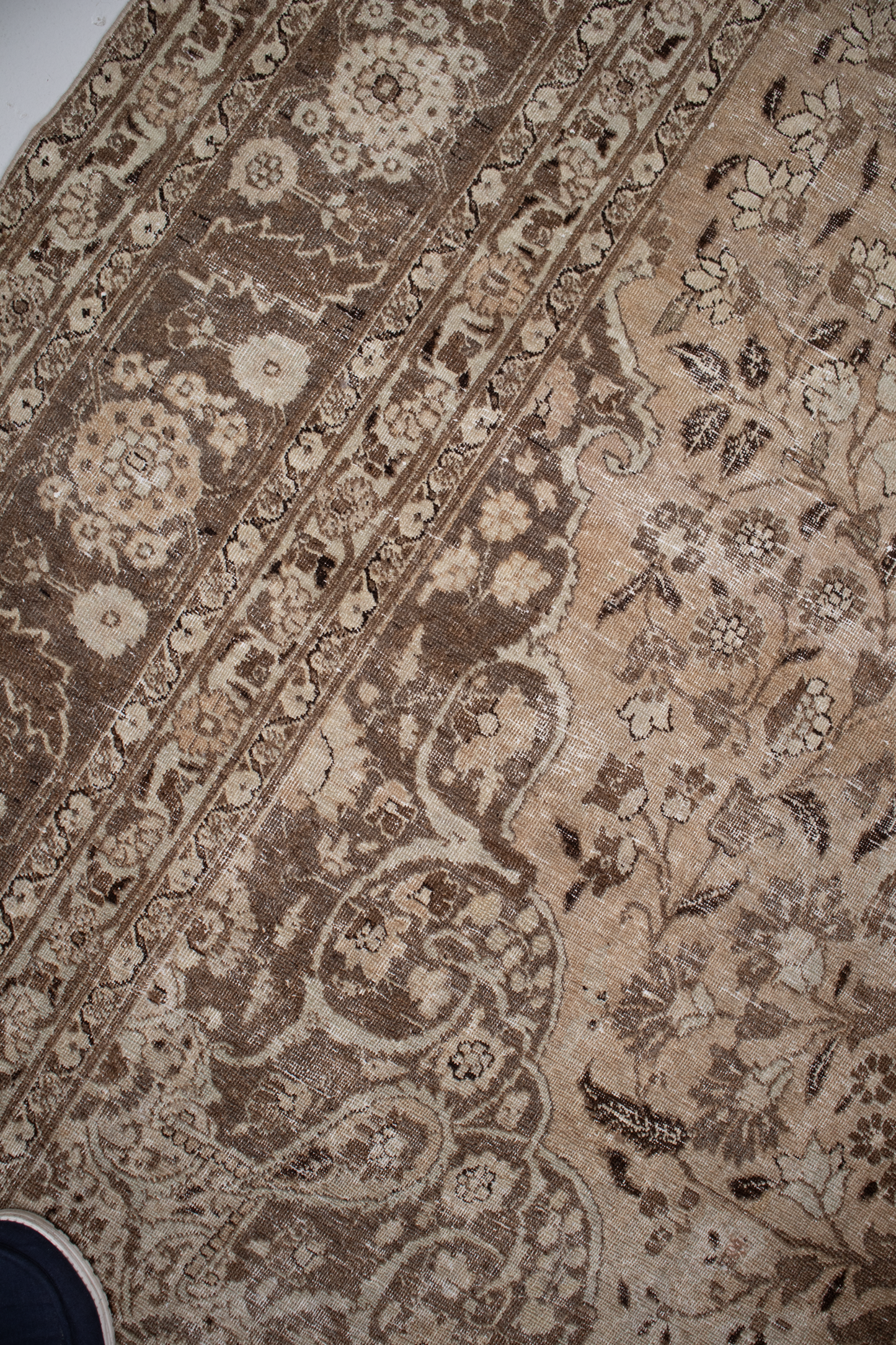 Tabriz L2586