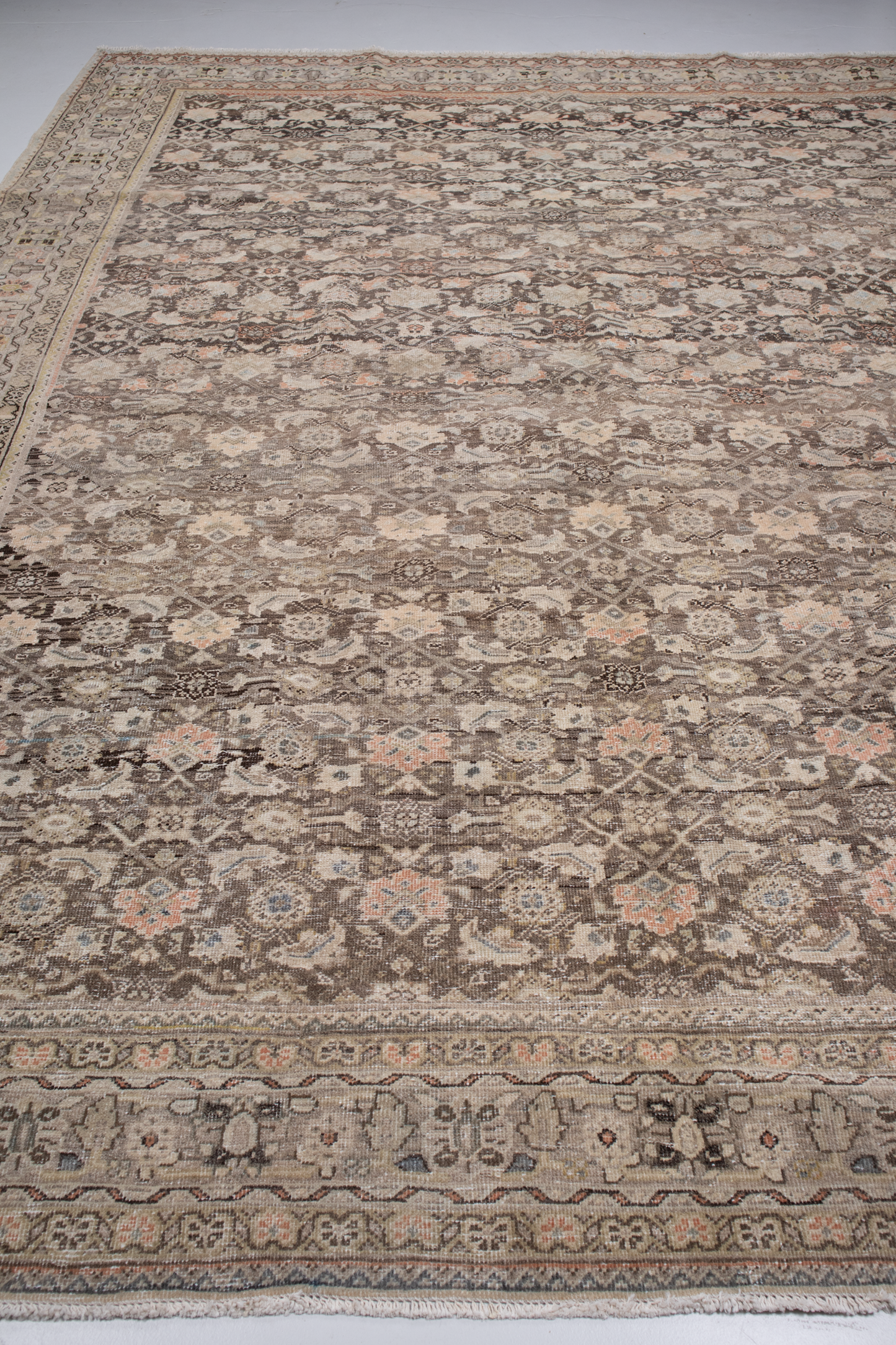 Persian Malayer L2590