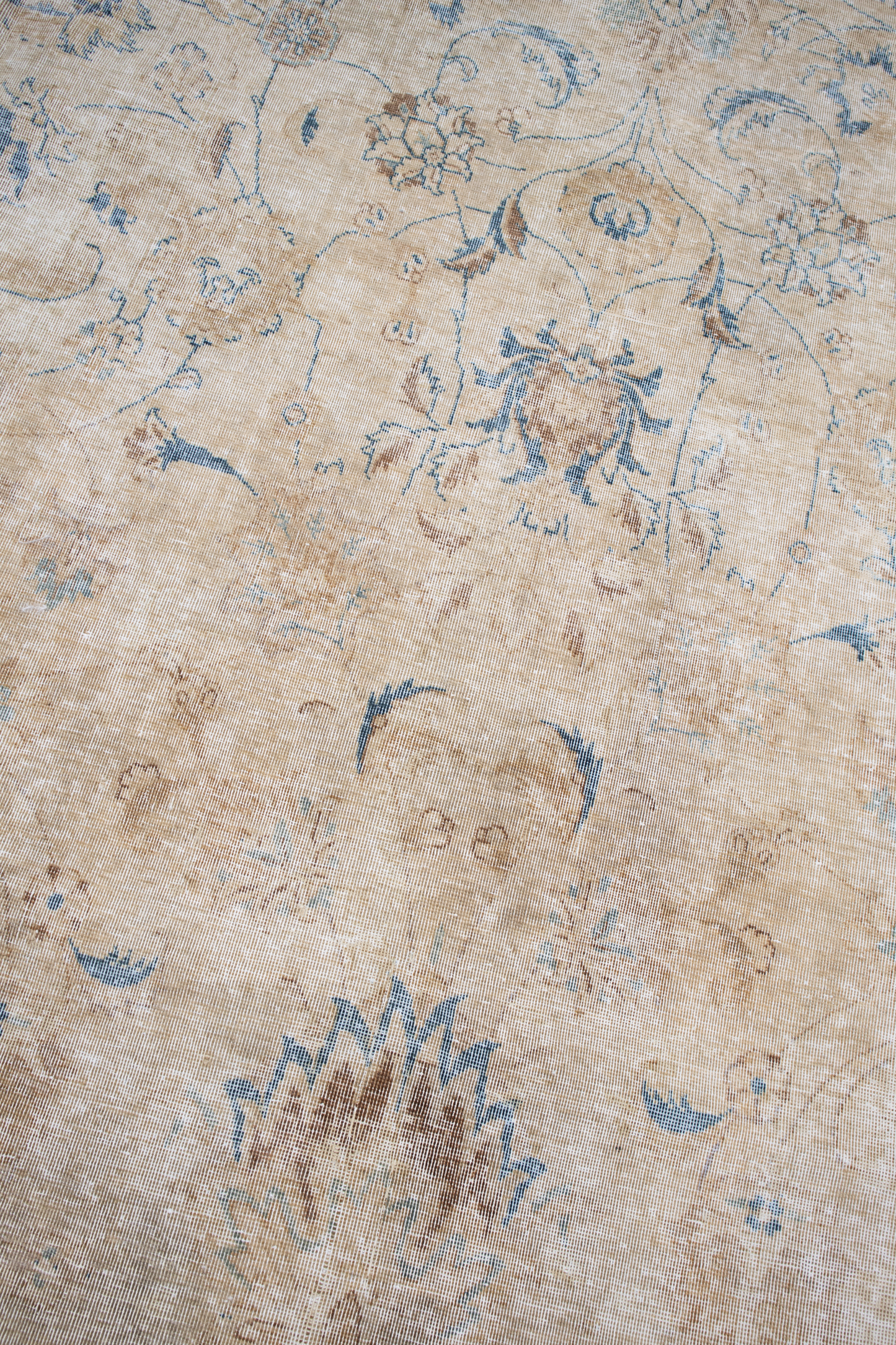 Tabriz P2593