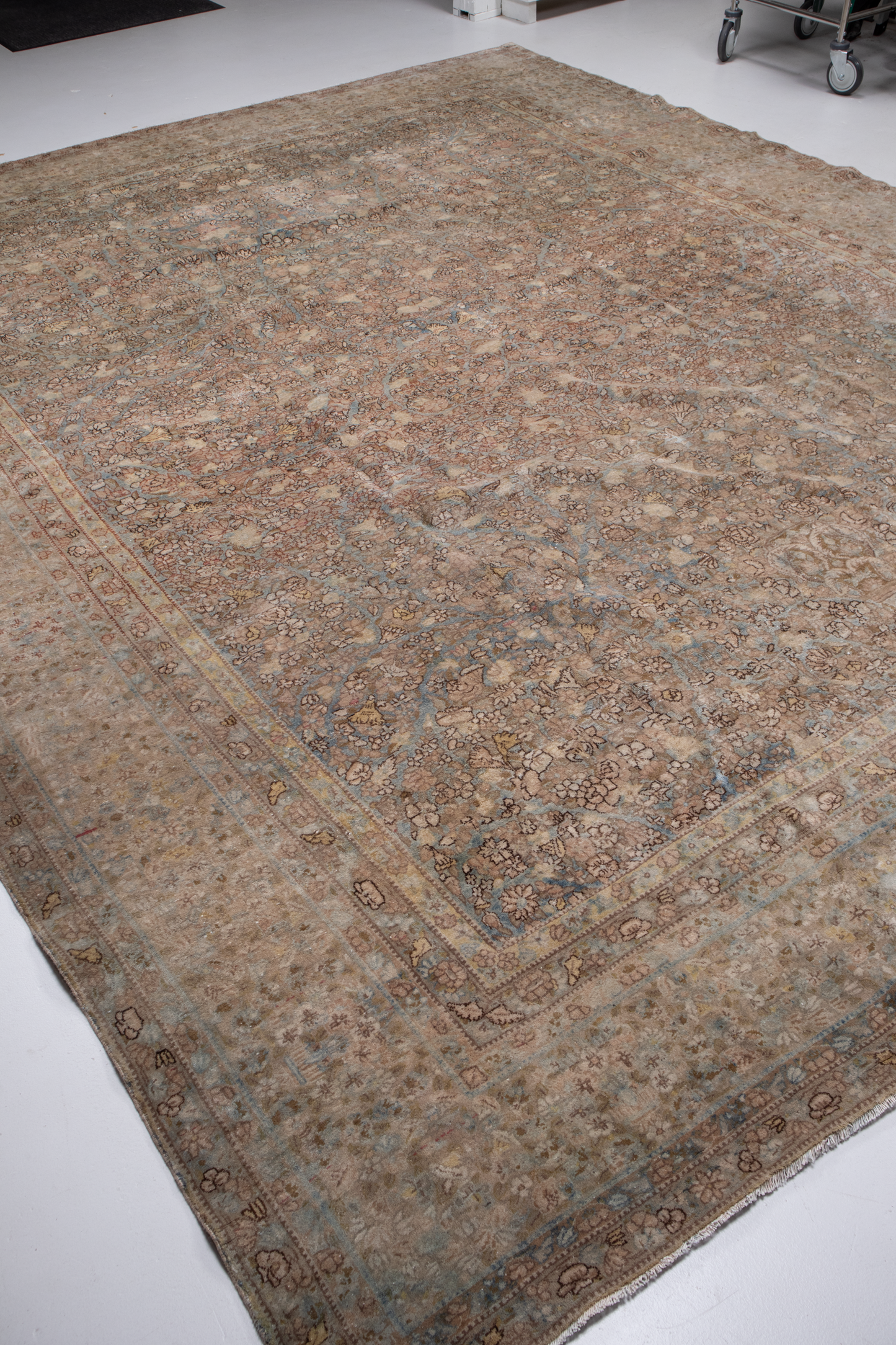 Tabriz L2594