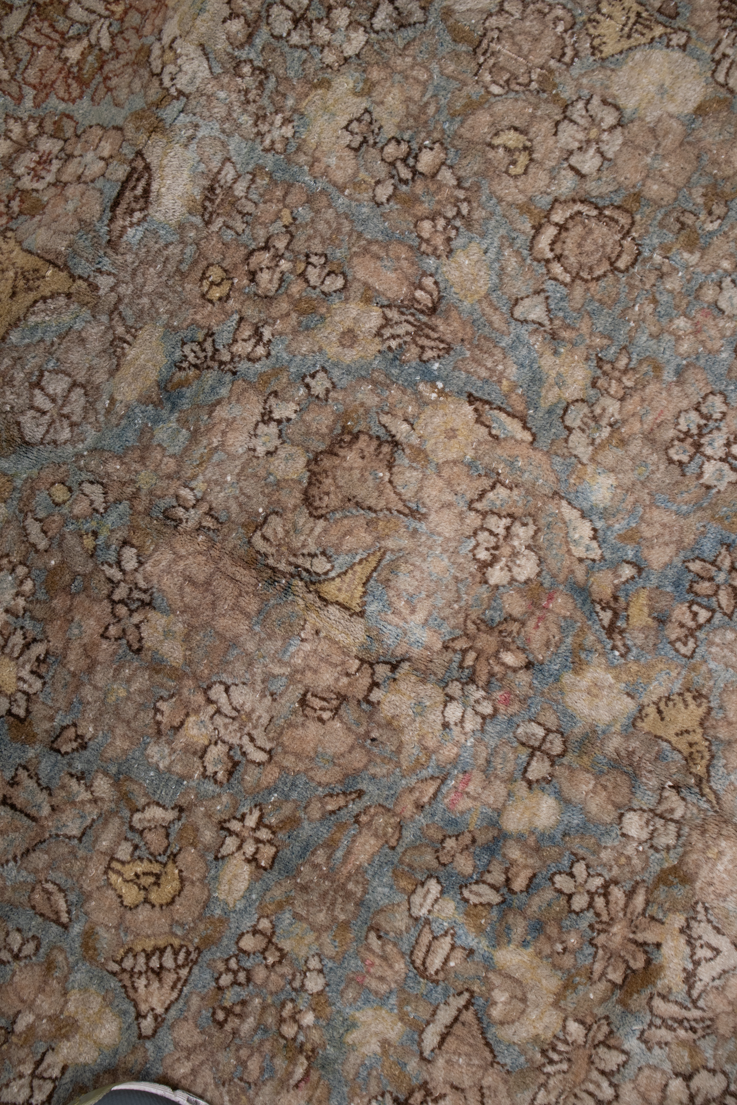 Tabriz L2594