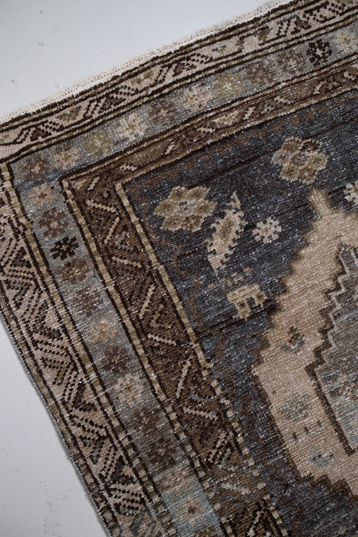 Malayer S-31742