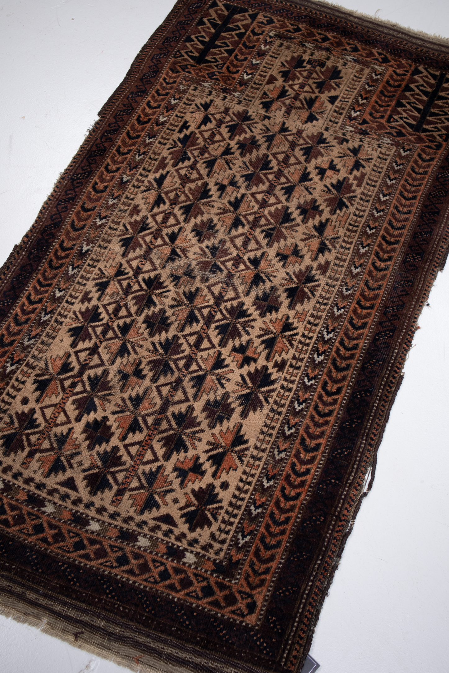 Turkmen Balouch Tribal S2626
