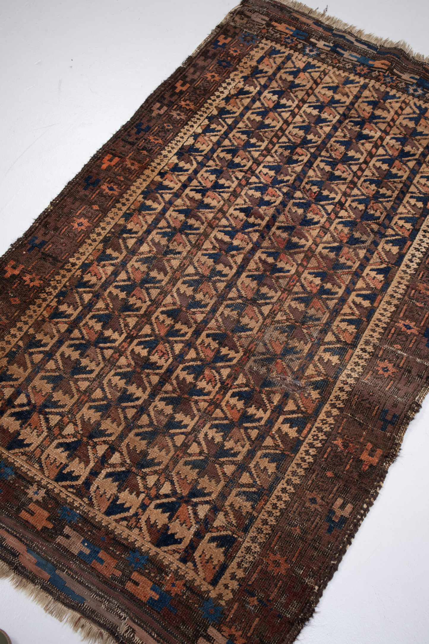 Turkmen Balouch Tribal S2627