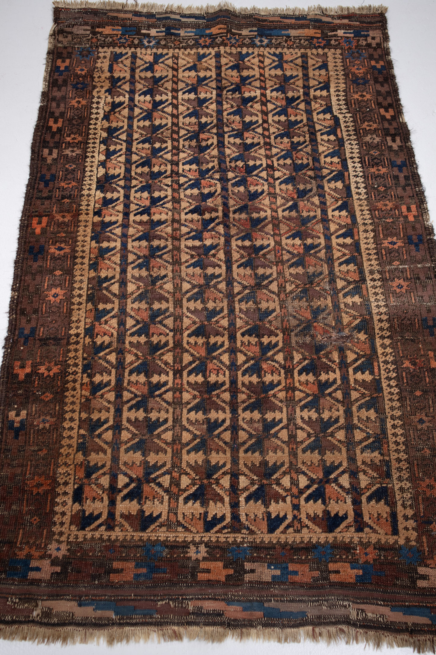 Turkmen Balouch Tribal S2627