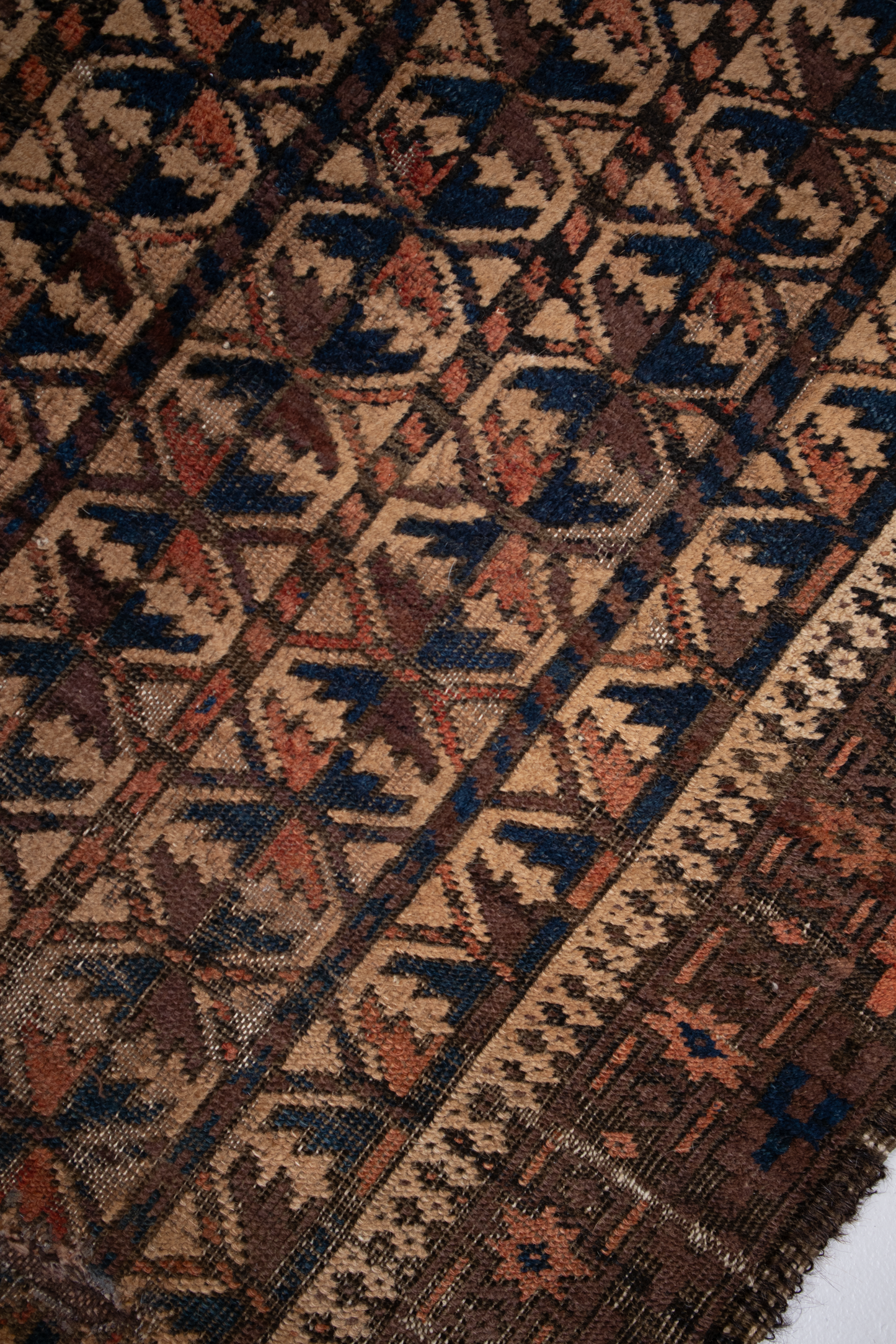 Turkmen Balouch Tribal S2627