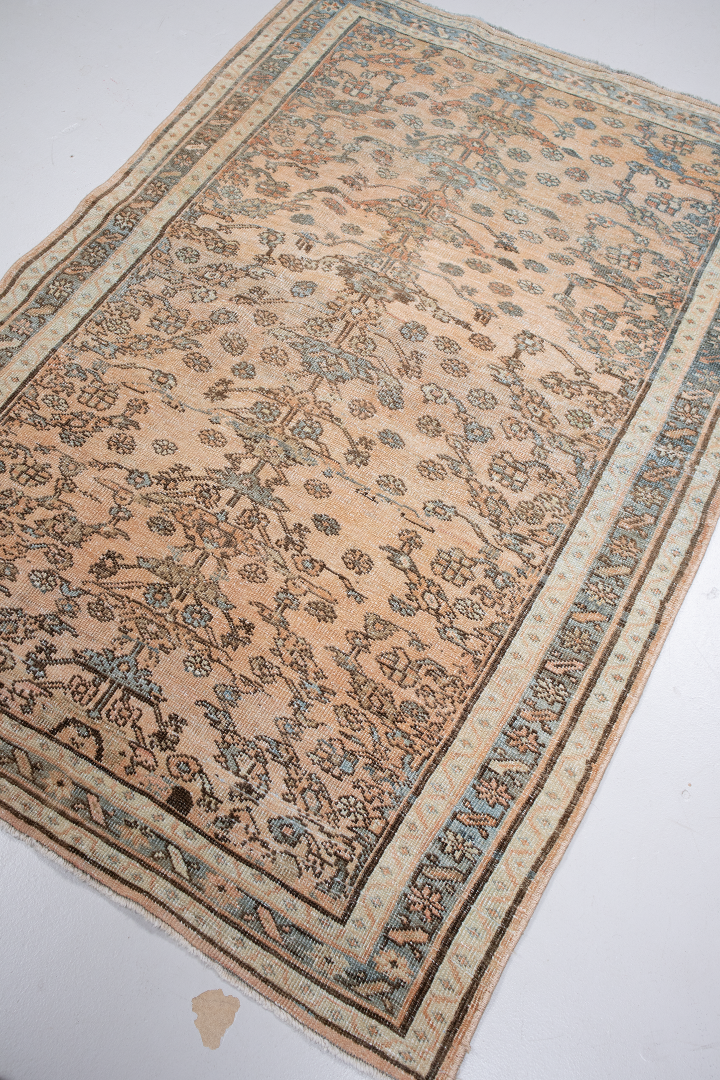Lilihan S-R5586