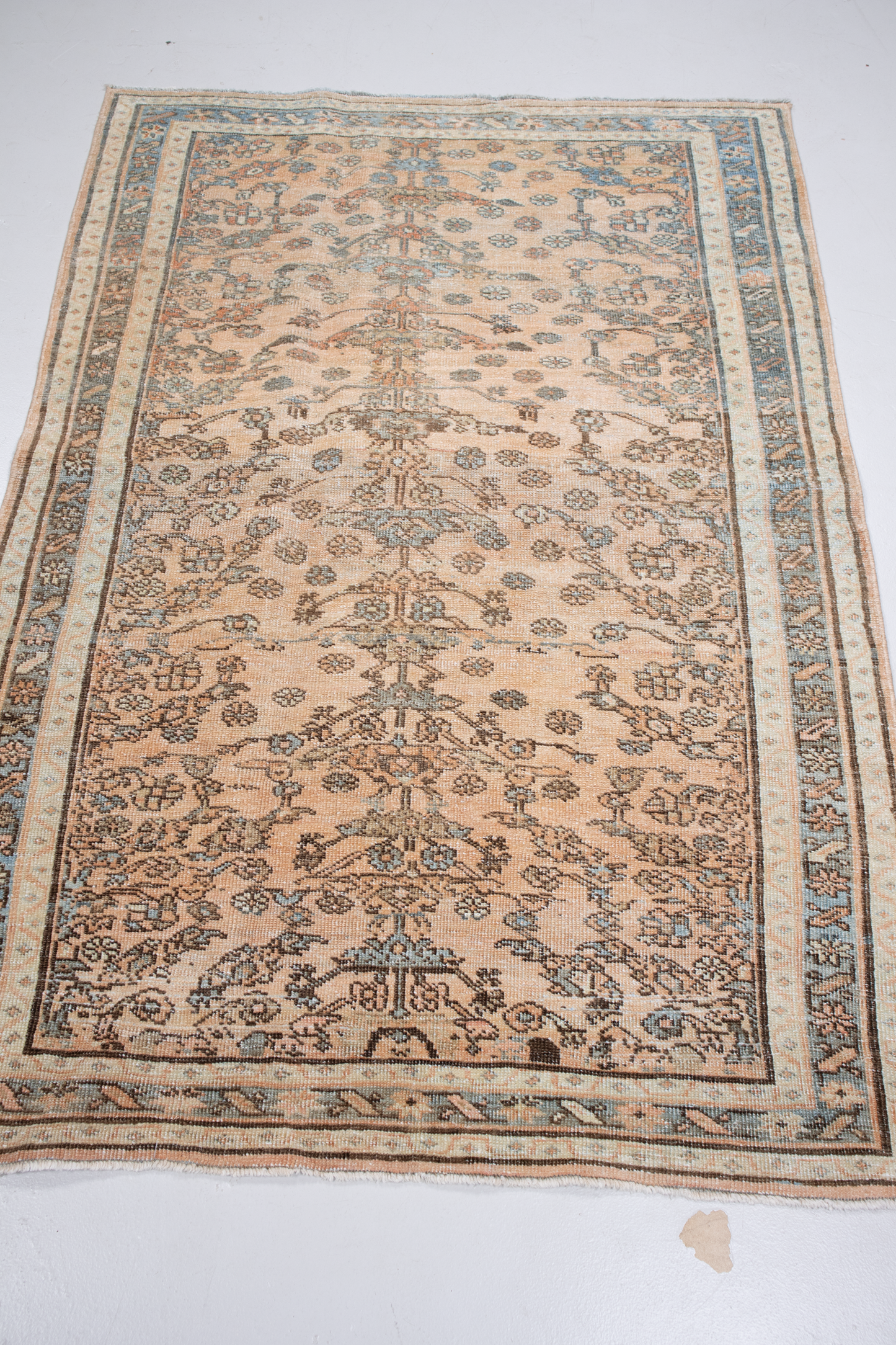 Lilihan S-R5586