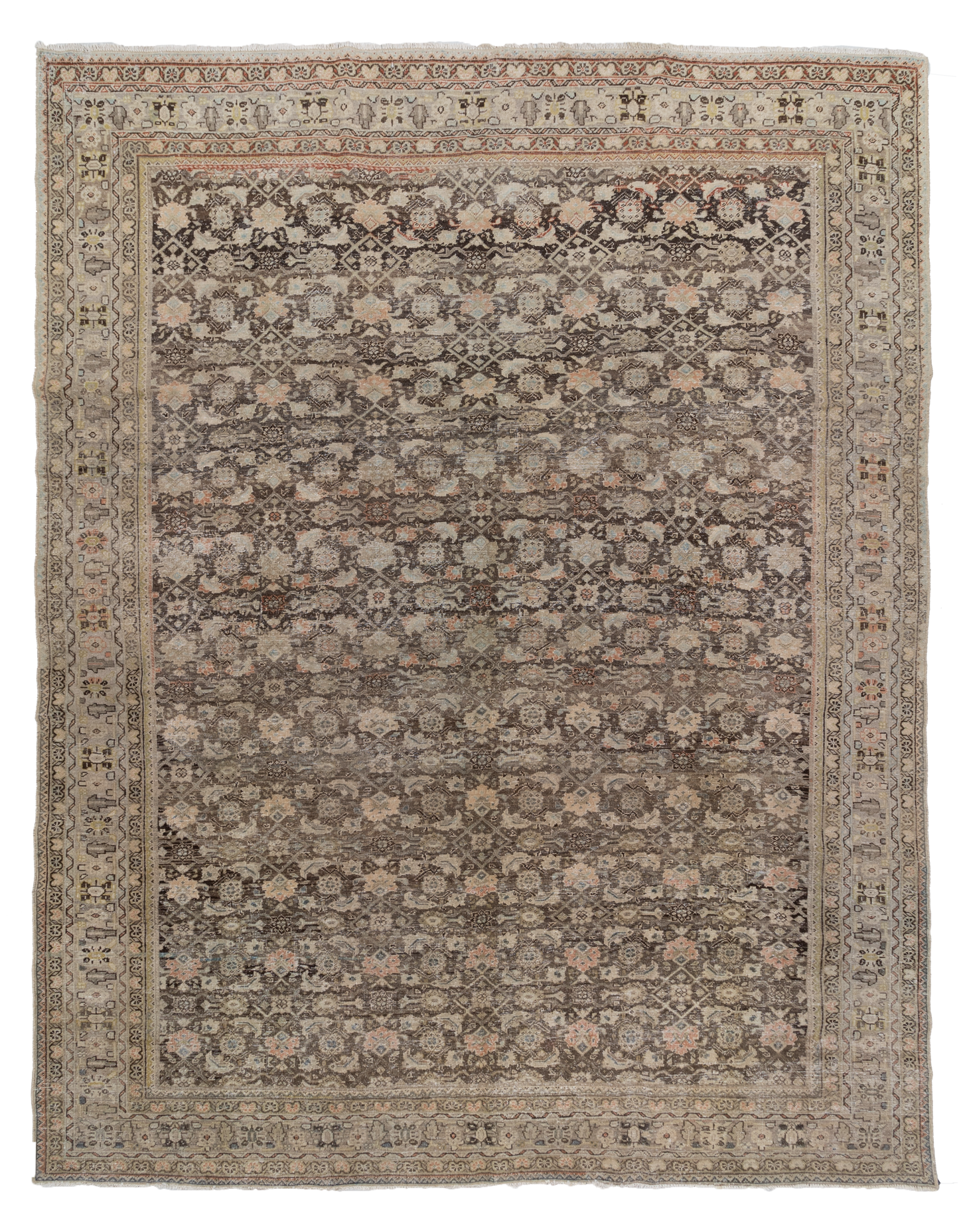Persian Malayer L2590