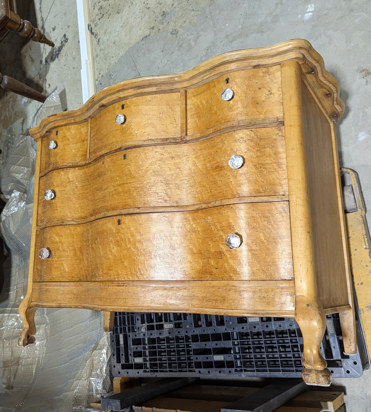 Chest 5 drawers, serpent front bird's eye maple