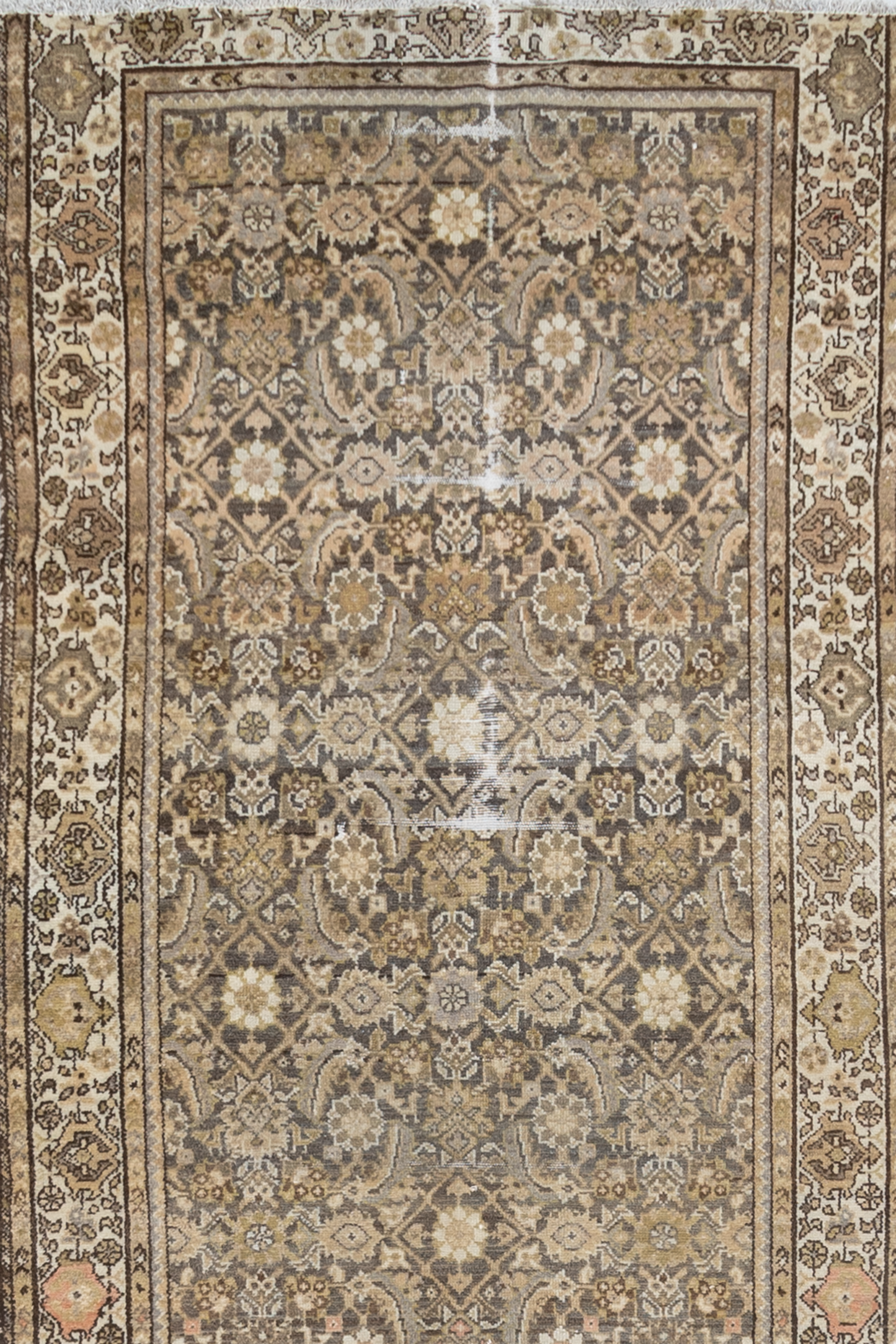 Malayer R2682