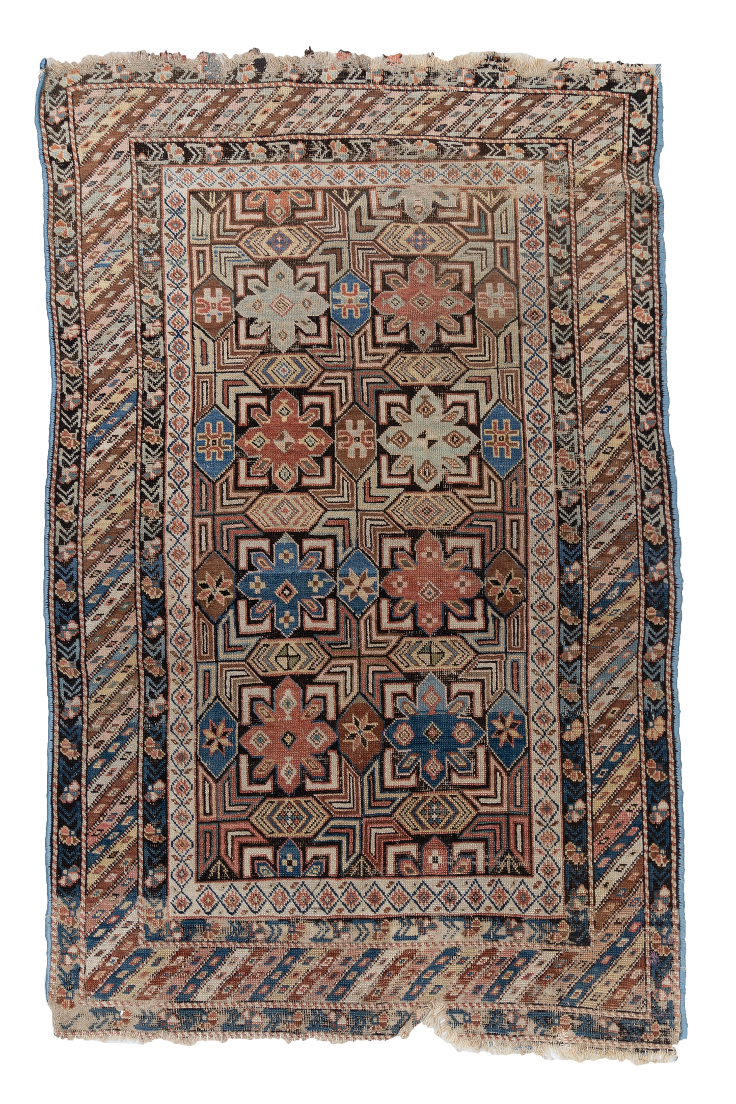 Caucasian S-31864