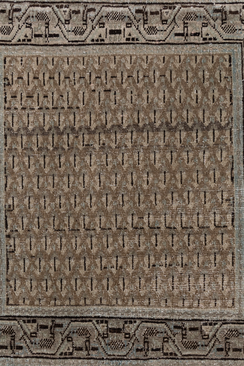Persian Farahan Y2551