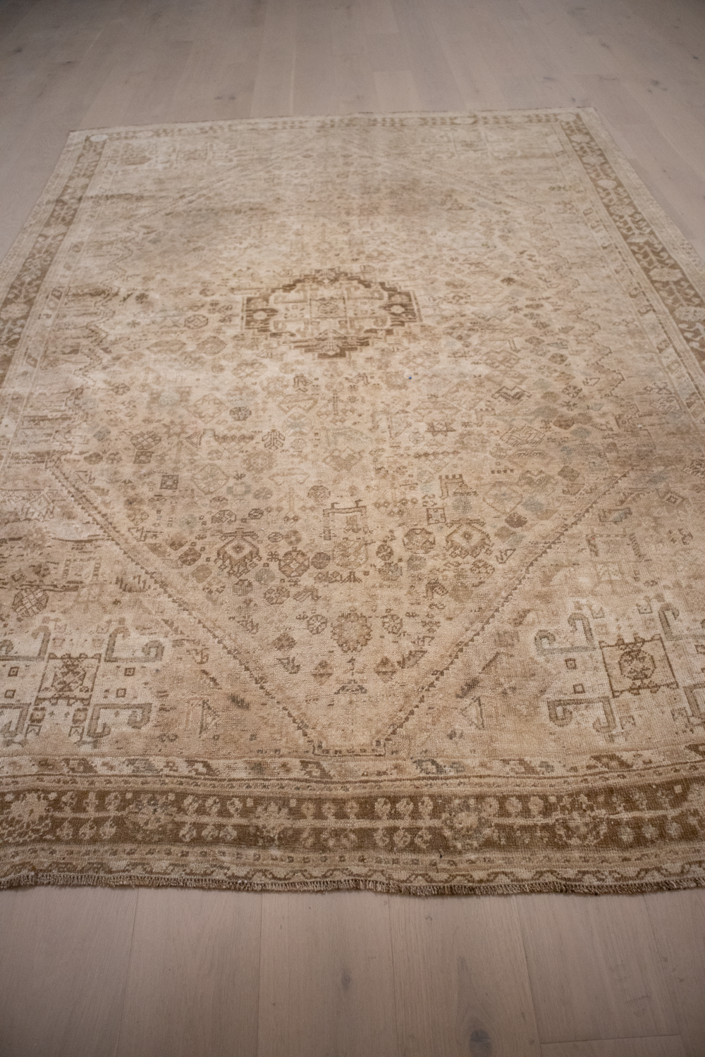 Shiraz L1409