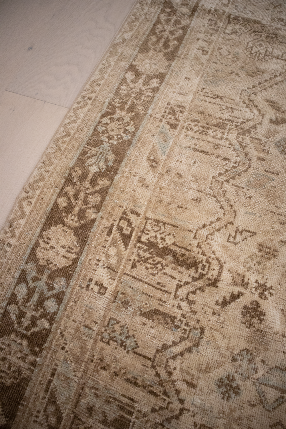 Shiraz L1409