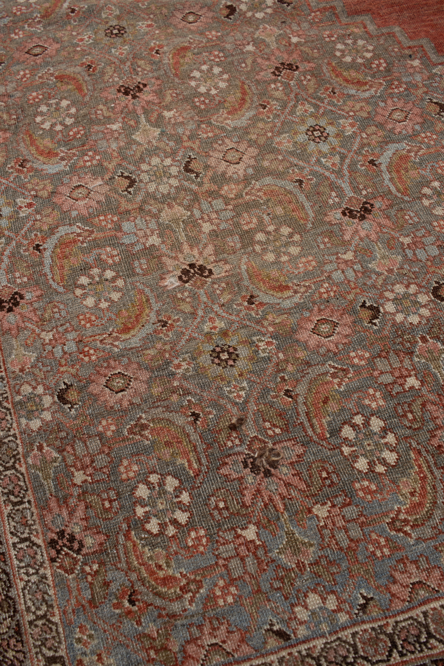Persian Bidjar P2264