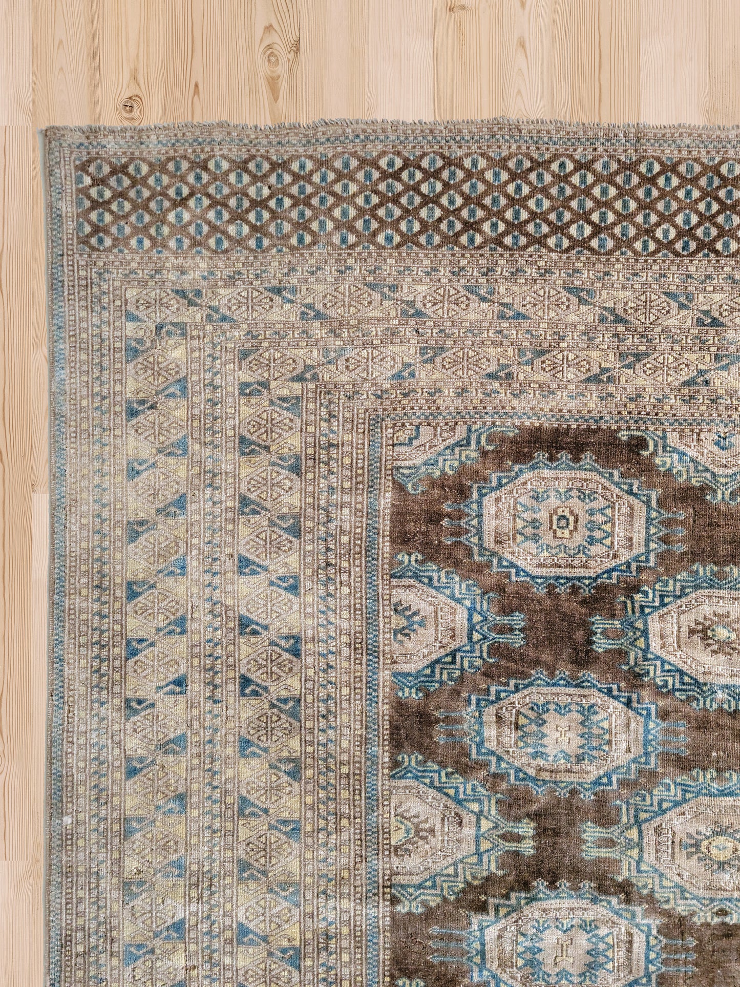 Bokhara L1064