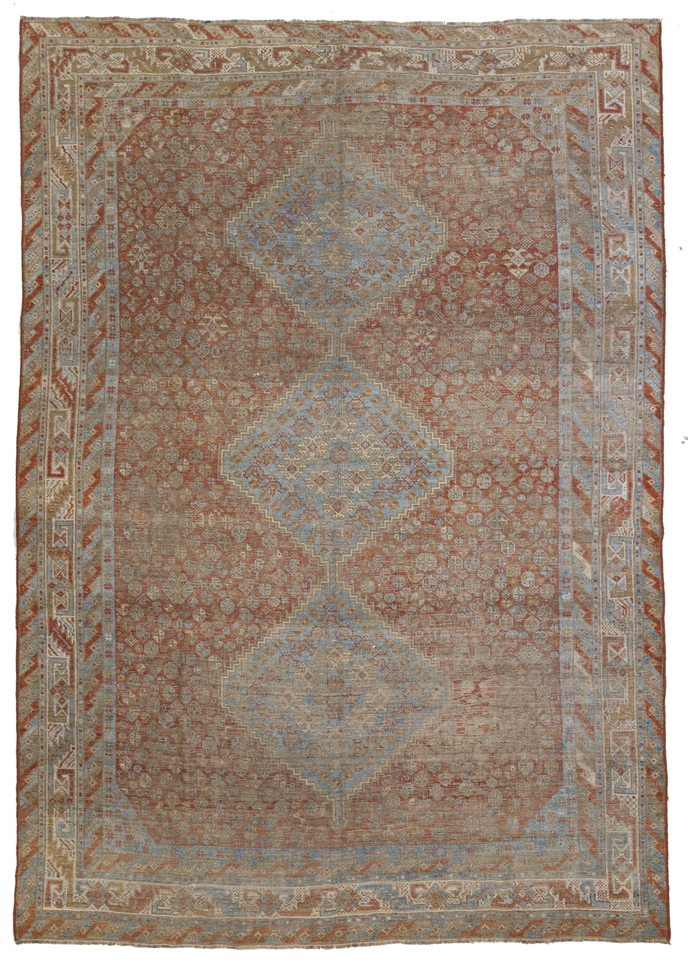 Shiraz L1246