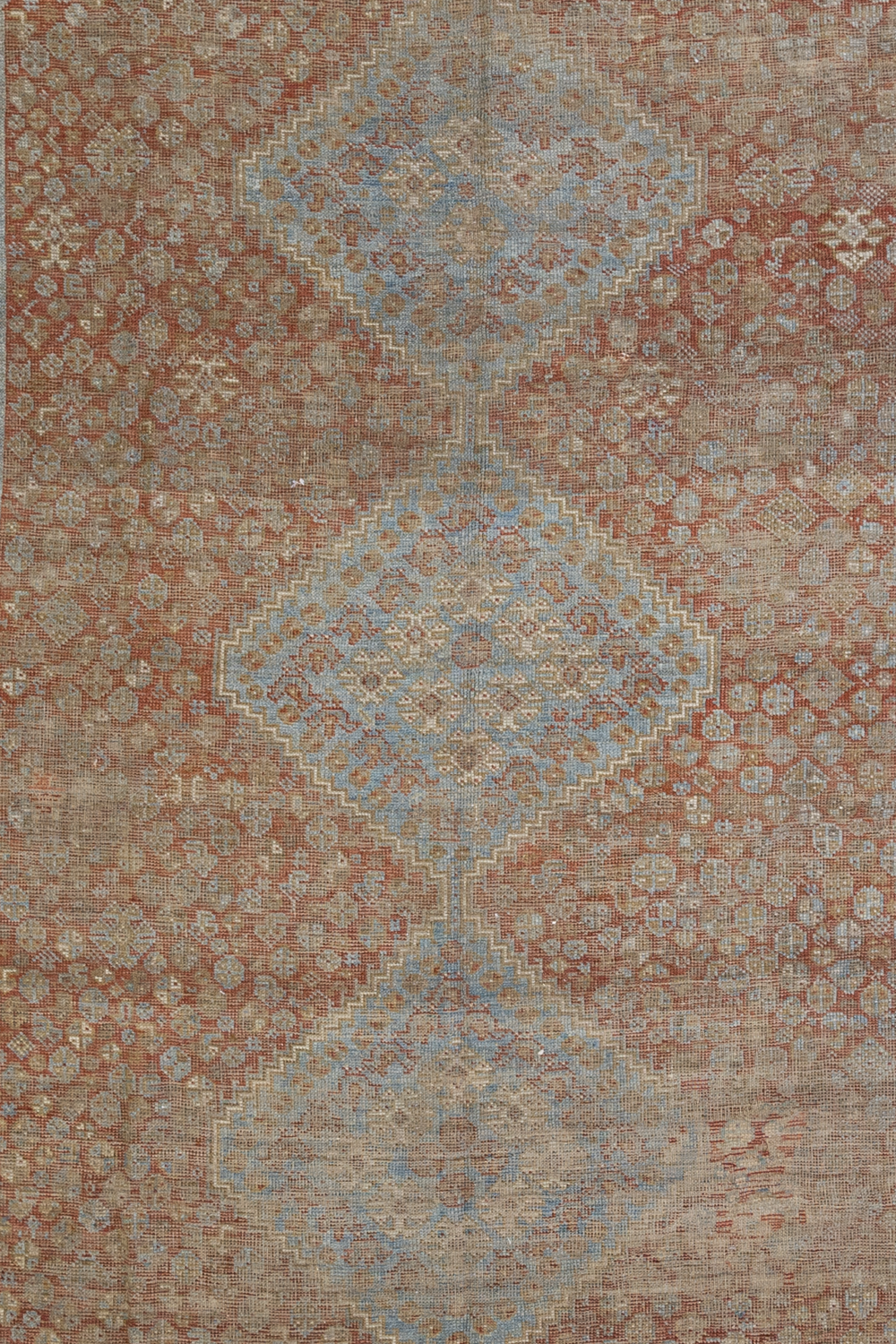 Shiraz L1246