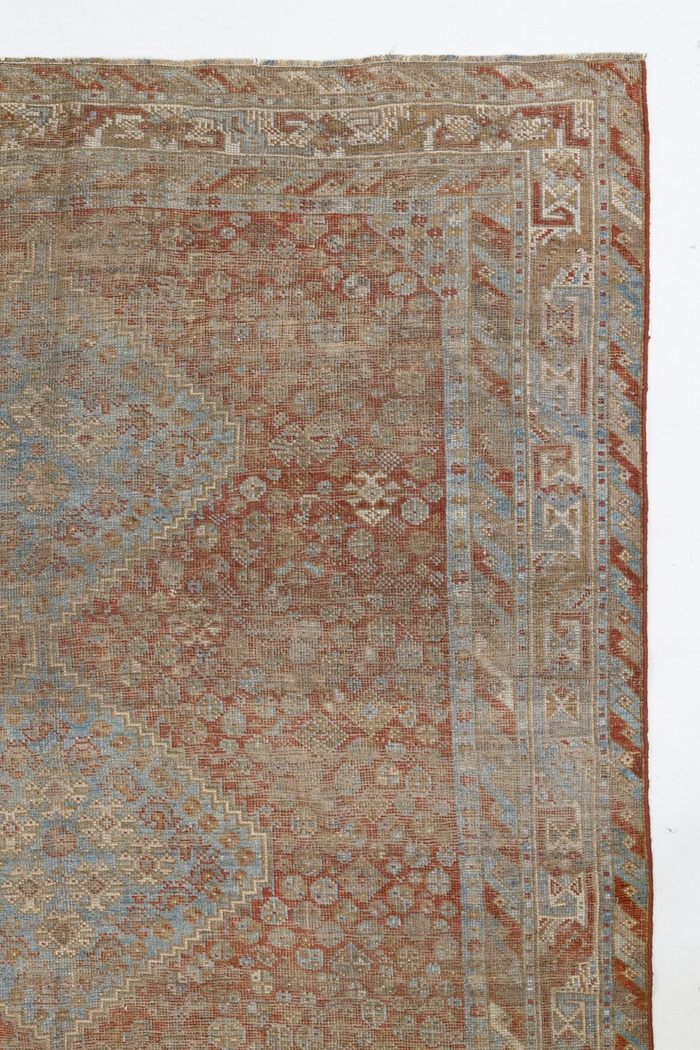 Shiraz L1246