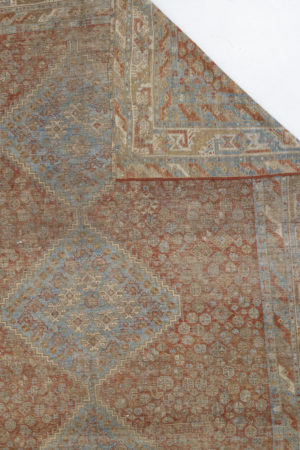 Shiraz L1246