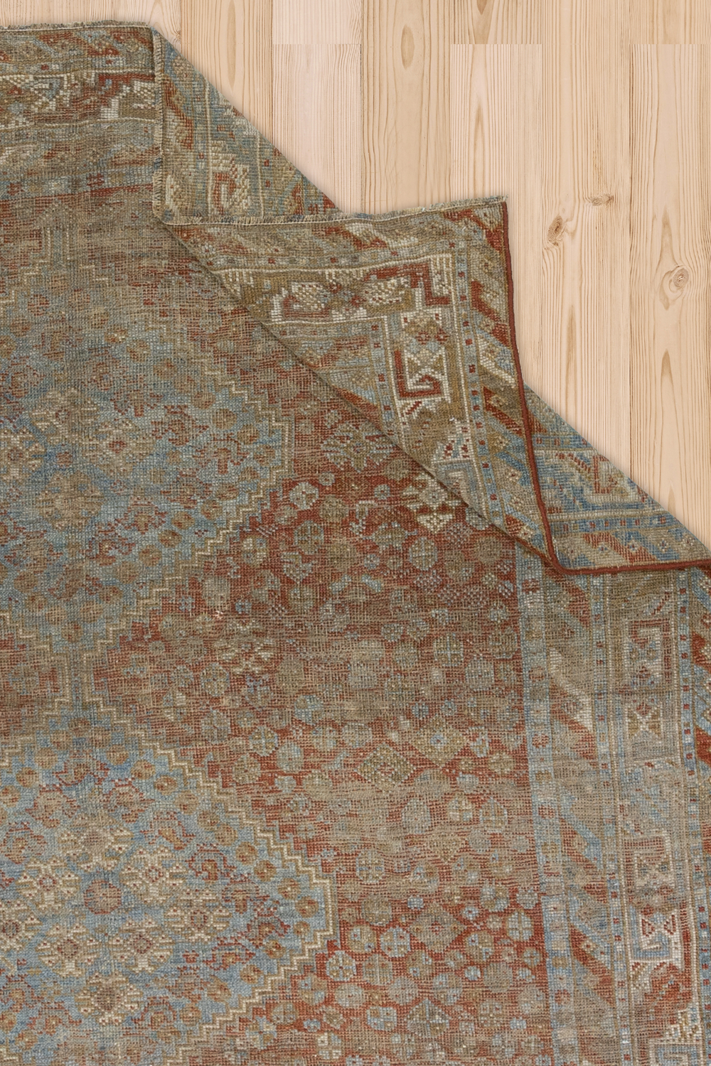 Shiraz L1246