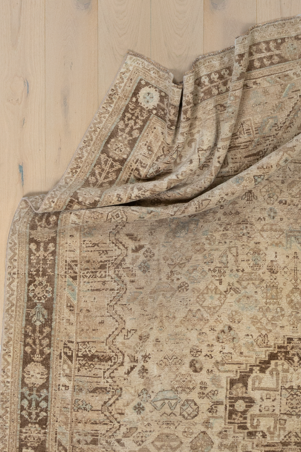 Shiraz L1409