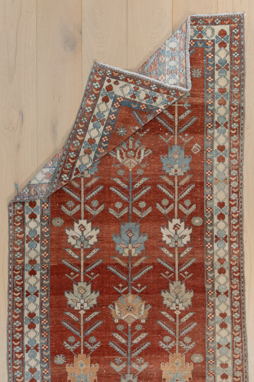 Malayer R1957