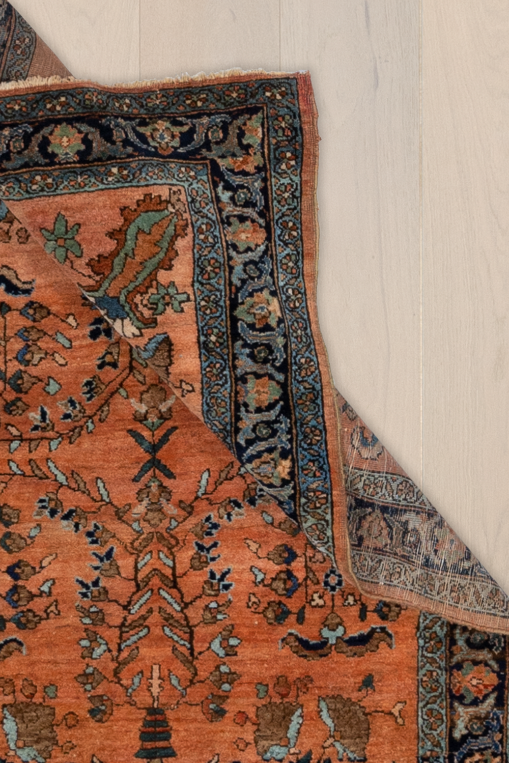 Persian Mohajeran Sarouk S1832