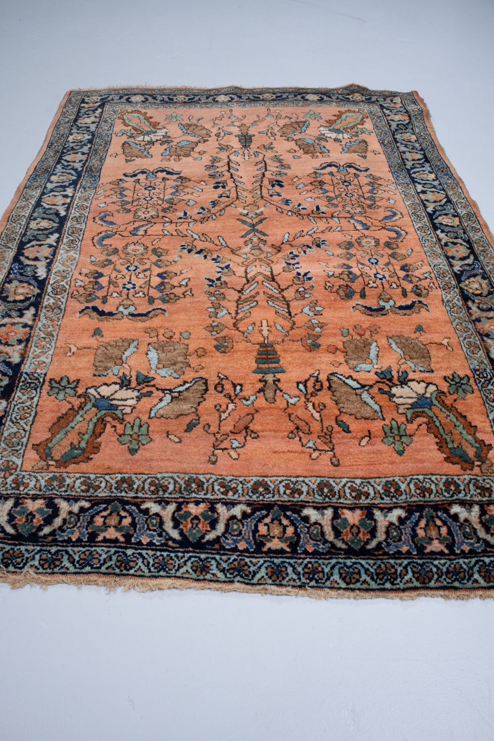 Persian Mohajeran Sarouk S1832