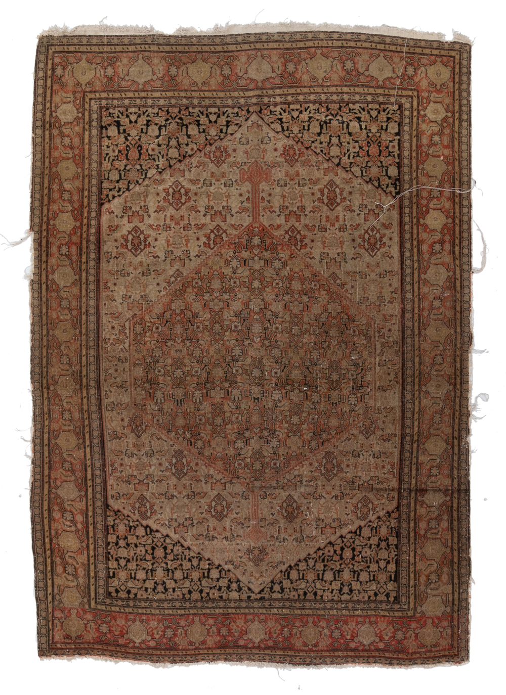 Persian Malayer S2134