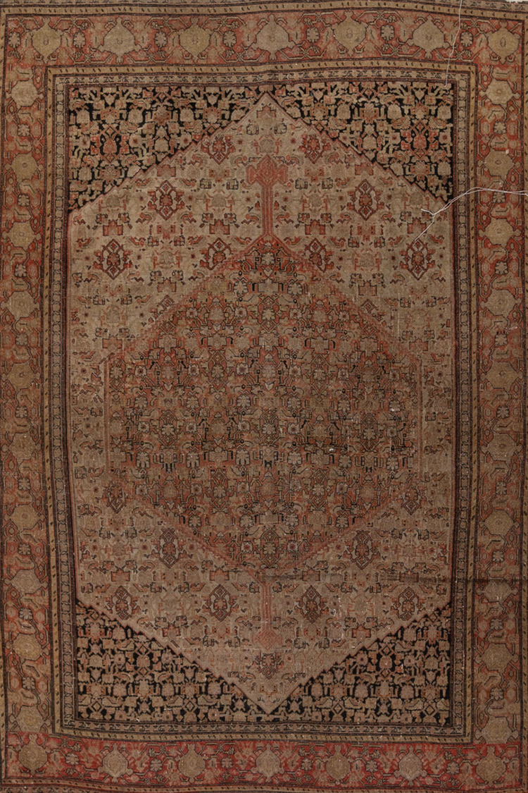 Persian Malayer S2134