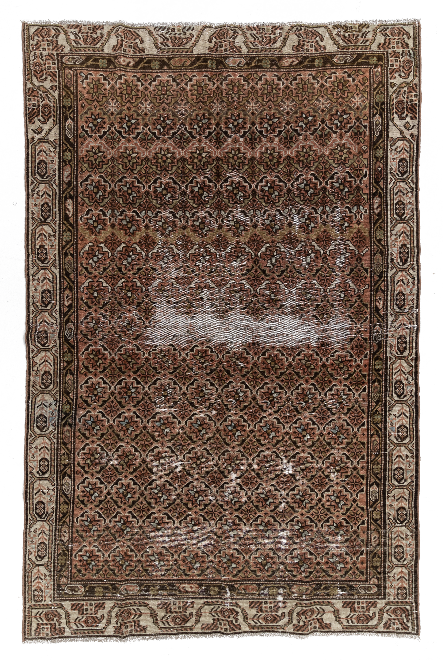Persian Malayer S2306